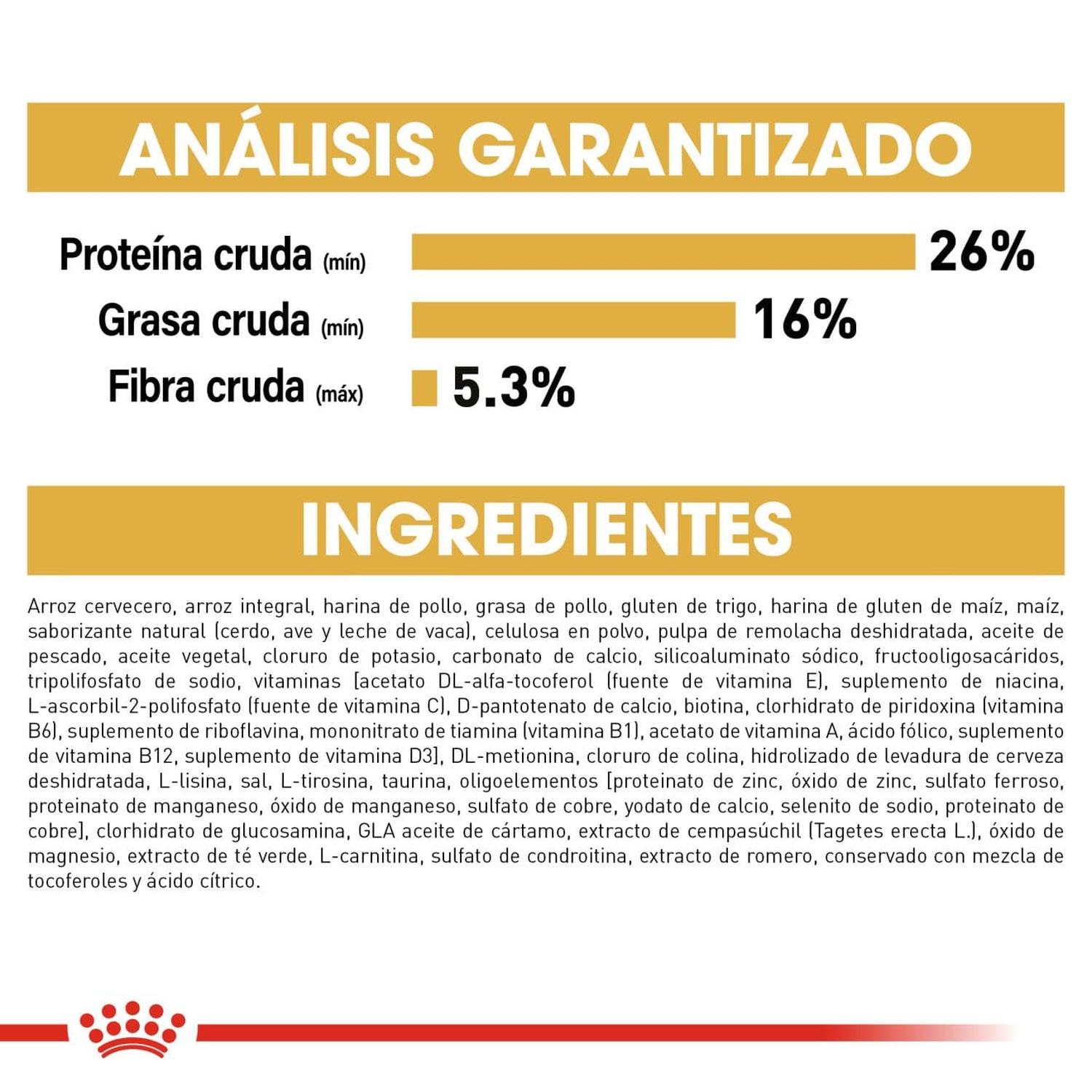 Royal Canin Breed alimento perro Yorkshire Adult 1.1kg | G.Valkyria - imagen 6