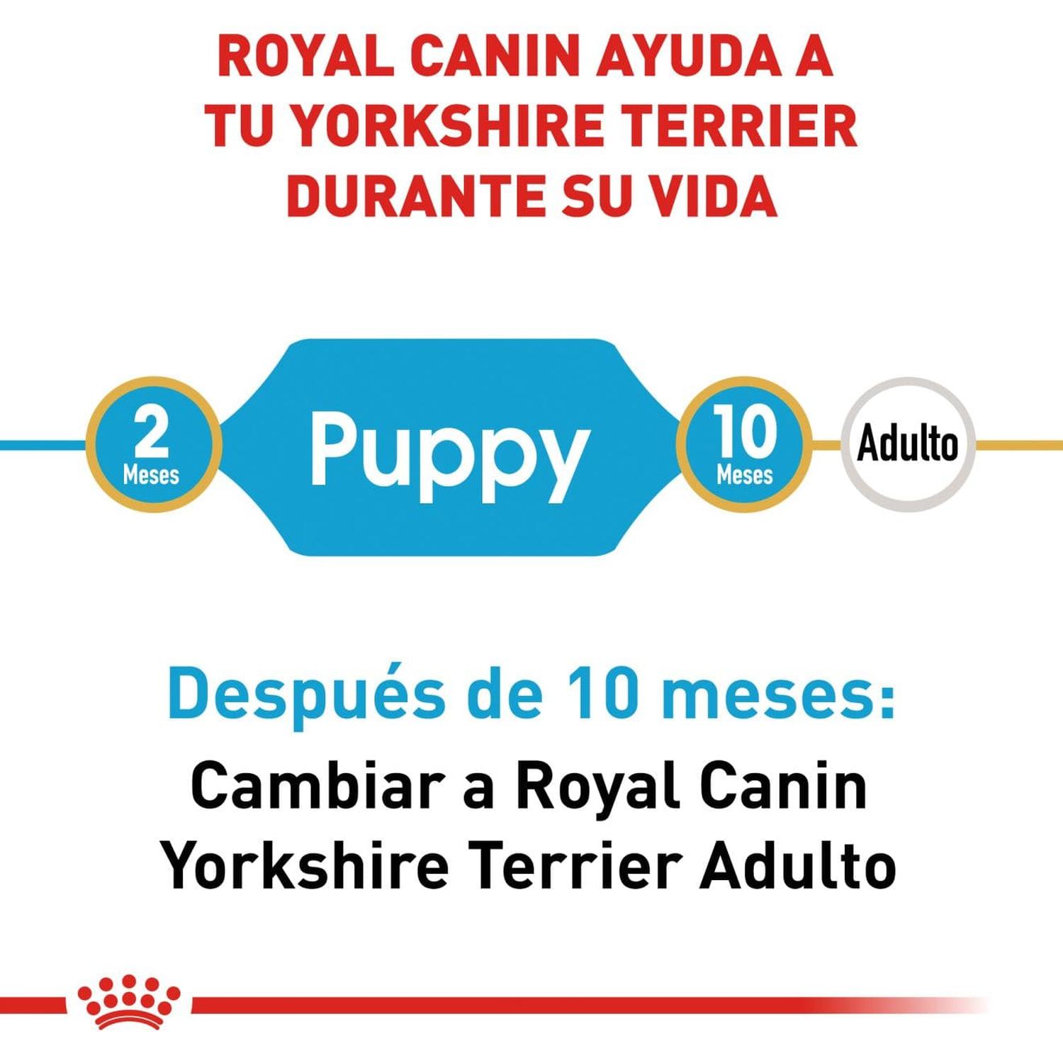 Royal Canin Breed alimento perro Yorkshire Puppy 1kg | G.Valkyria - imagen 2