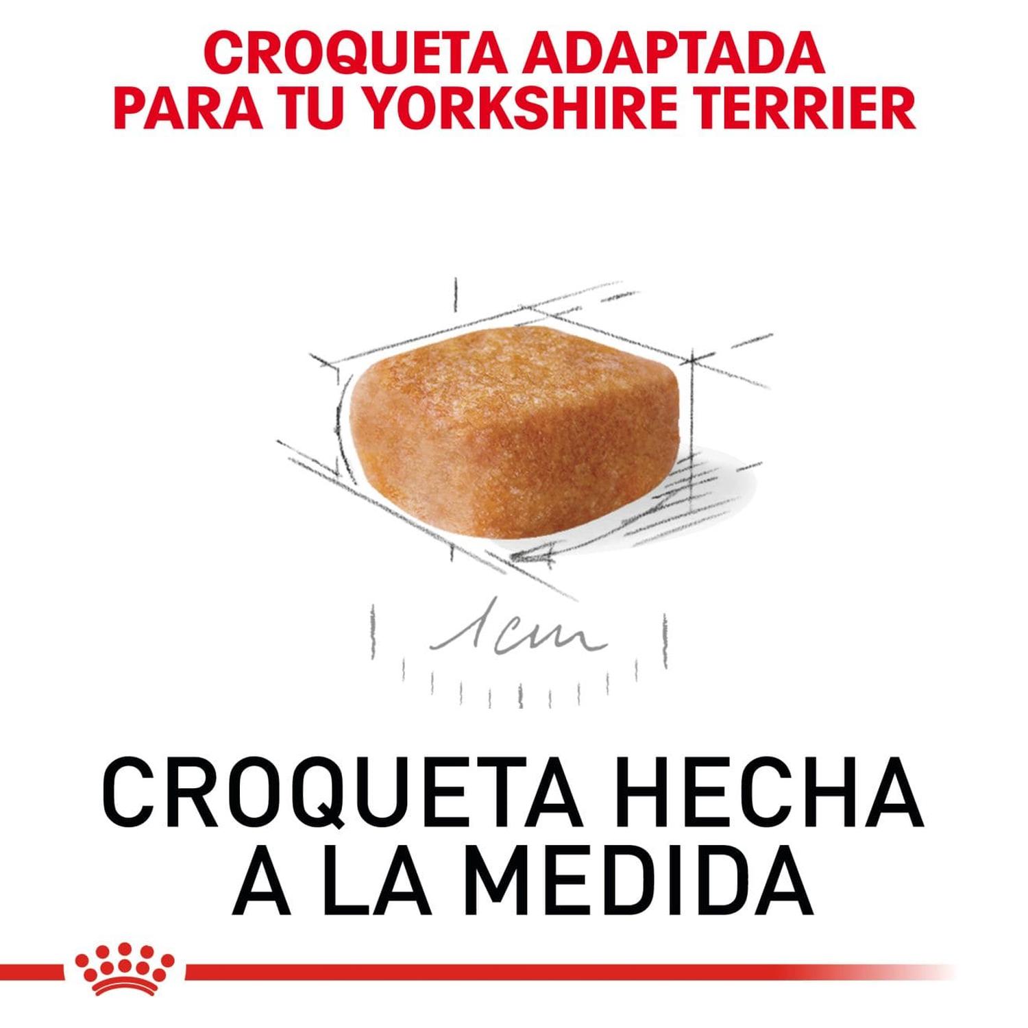 Royal Canin Breed alimento perro Yorkshire Puppy 1kg | G.Valkyria - imagen 3