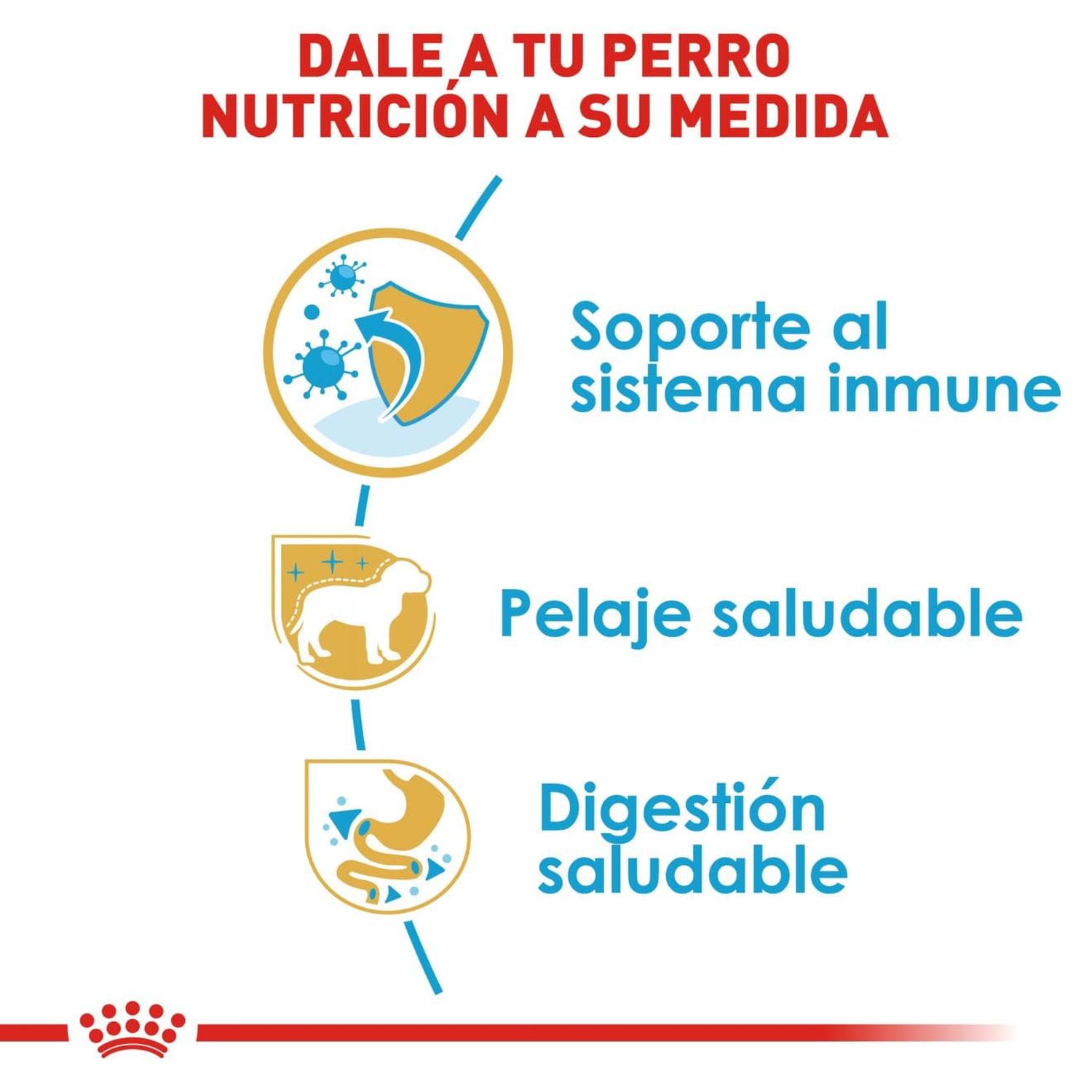 Royal Canin Breed alimento perro Yorkshire Puppy 1kg | G.Valkyria - imagen 4