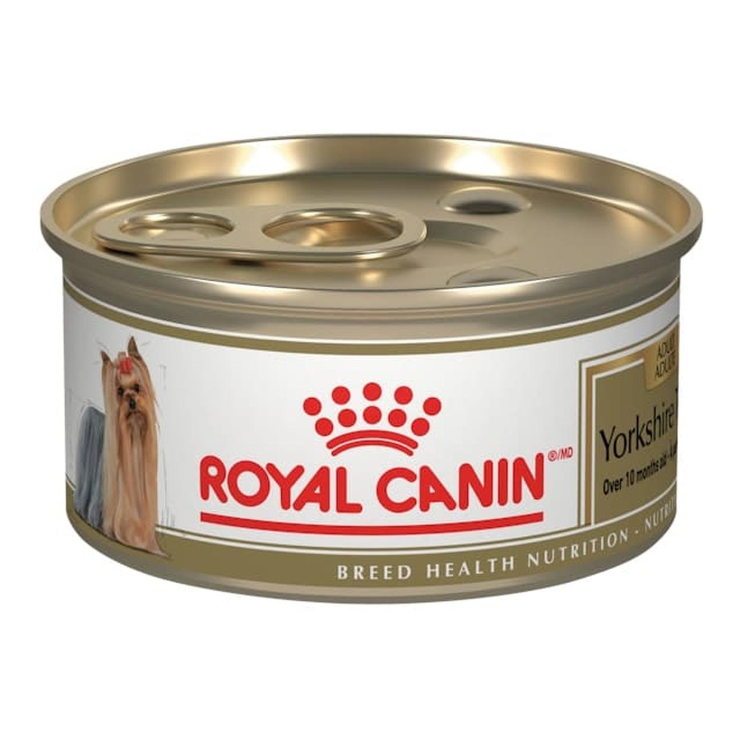 Royal Canin Breed Health Nutrition Yorkshire Terrier 85g 24pz | G.Valkyria