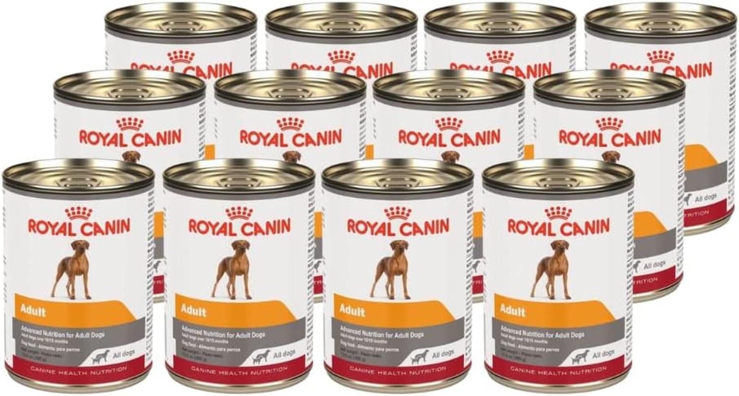 Royal Canin CHN Adult All Dogs in Loaf Perro 385g 12pz | G.Valkyria - imagen 1