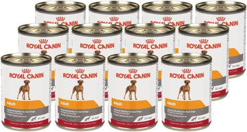 Royal Canin CHN Adult All Dogs in Loaf Perro 385g 12pz | G.Valkyria - imagen 1