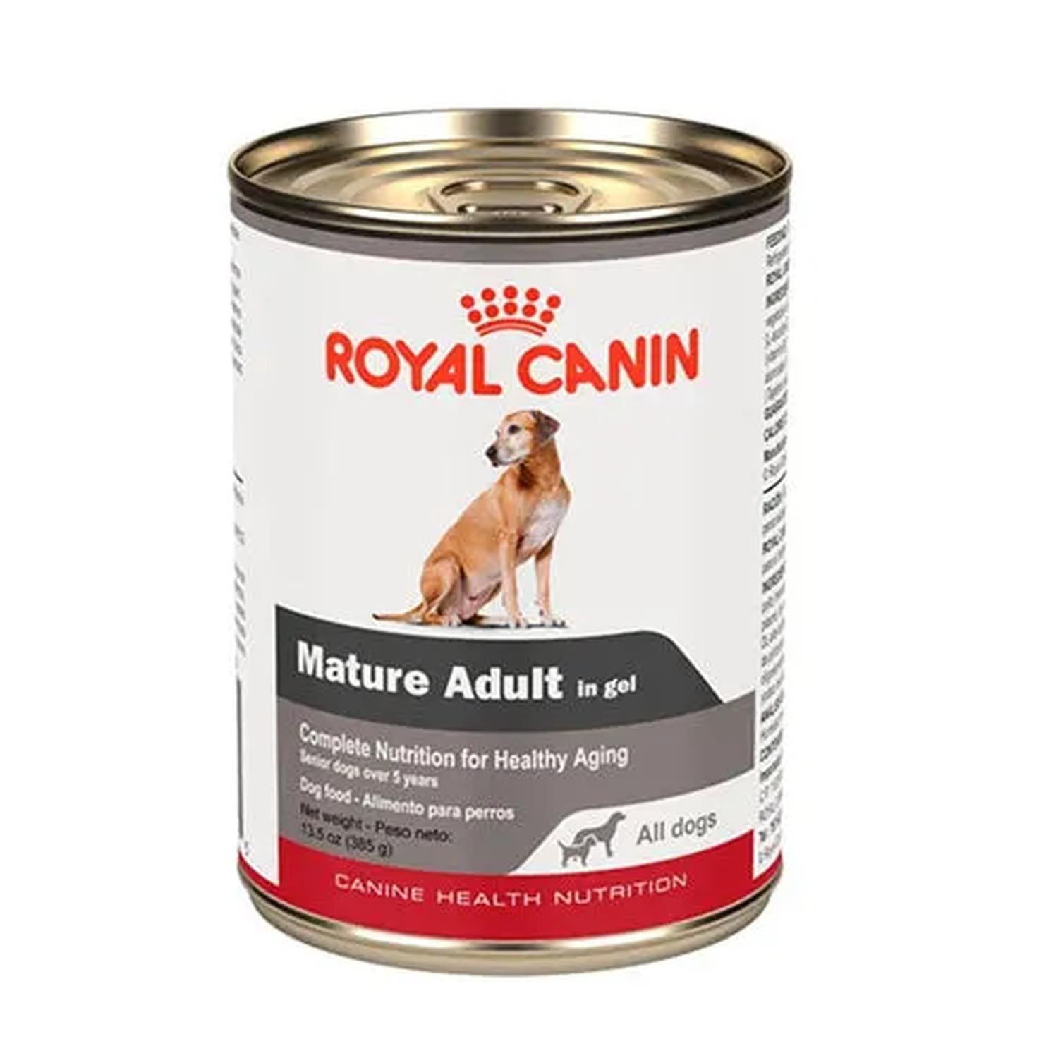 Royal Canin CHN Mature All Dogs in Gel Perro 385g 12pz | G.Valkyria - imagen 1