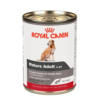 Royal Canin CHN Mature All Dogs in Gel Perro 385g | G.Valkyria - imagen 1