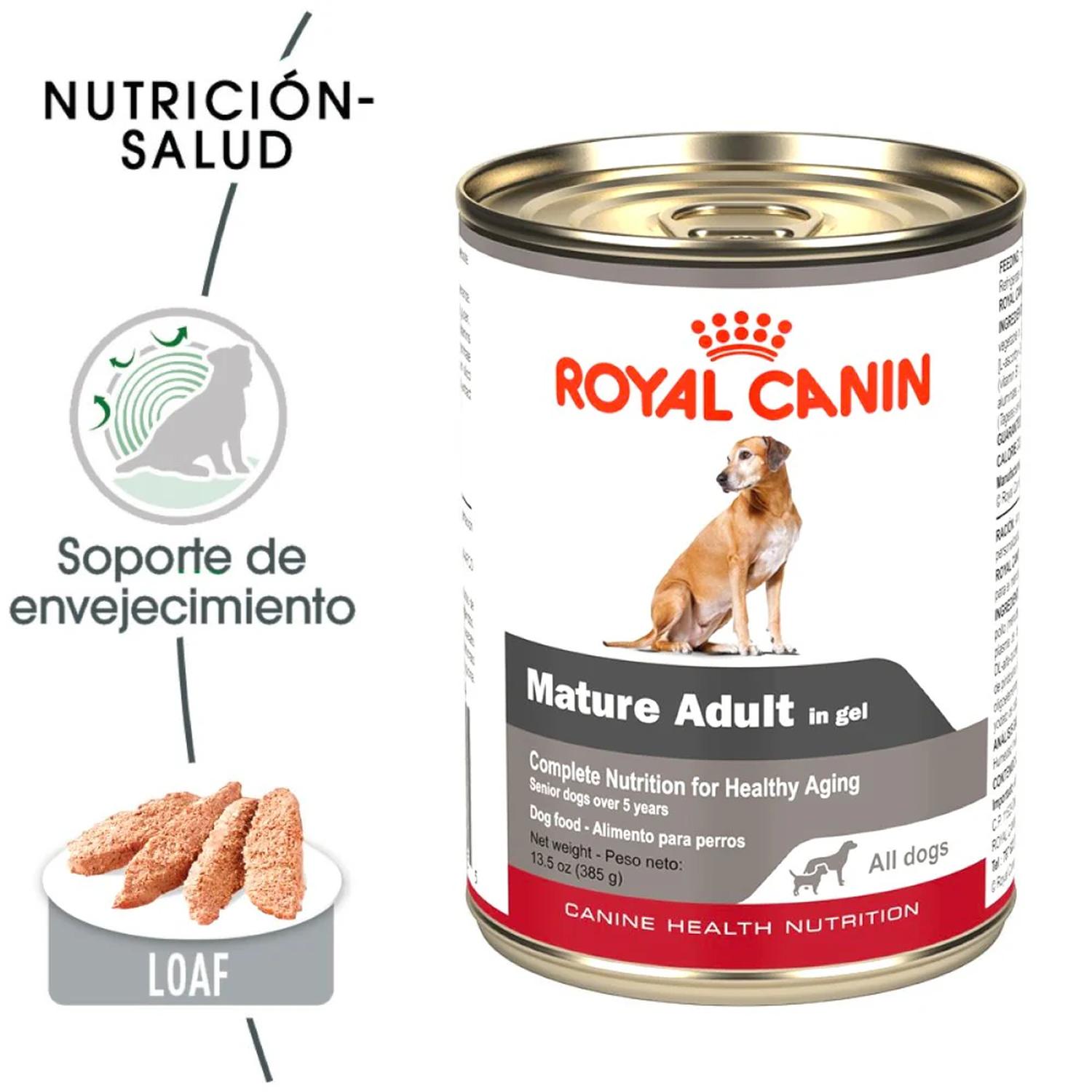Royal Canin CHN Mature All Dogs in Gel Perro 385g | G.Valkyria - imagen 3