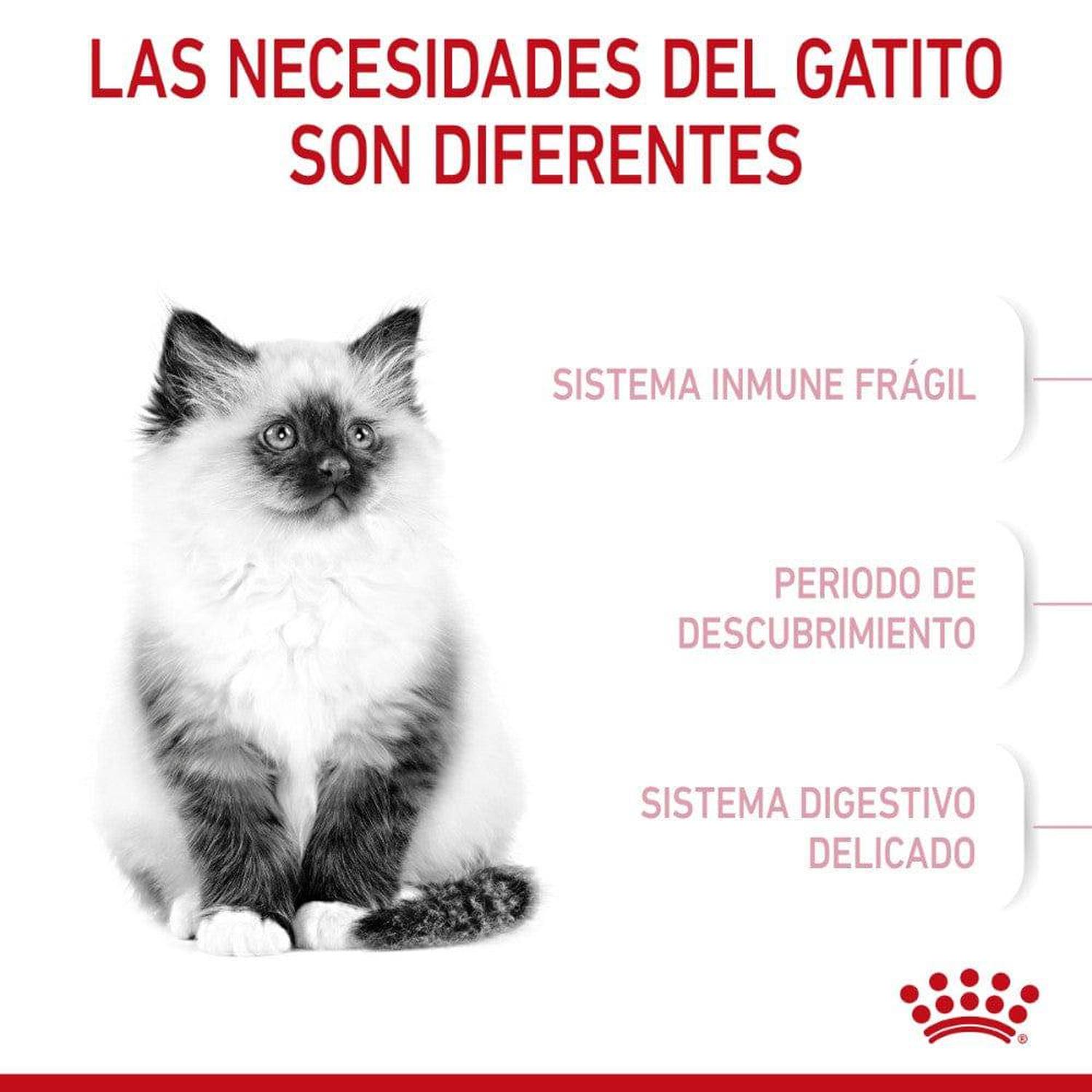 Royal Canin Kitten Gatito 341g | G.Valkyria - imagen 3