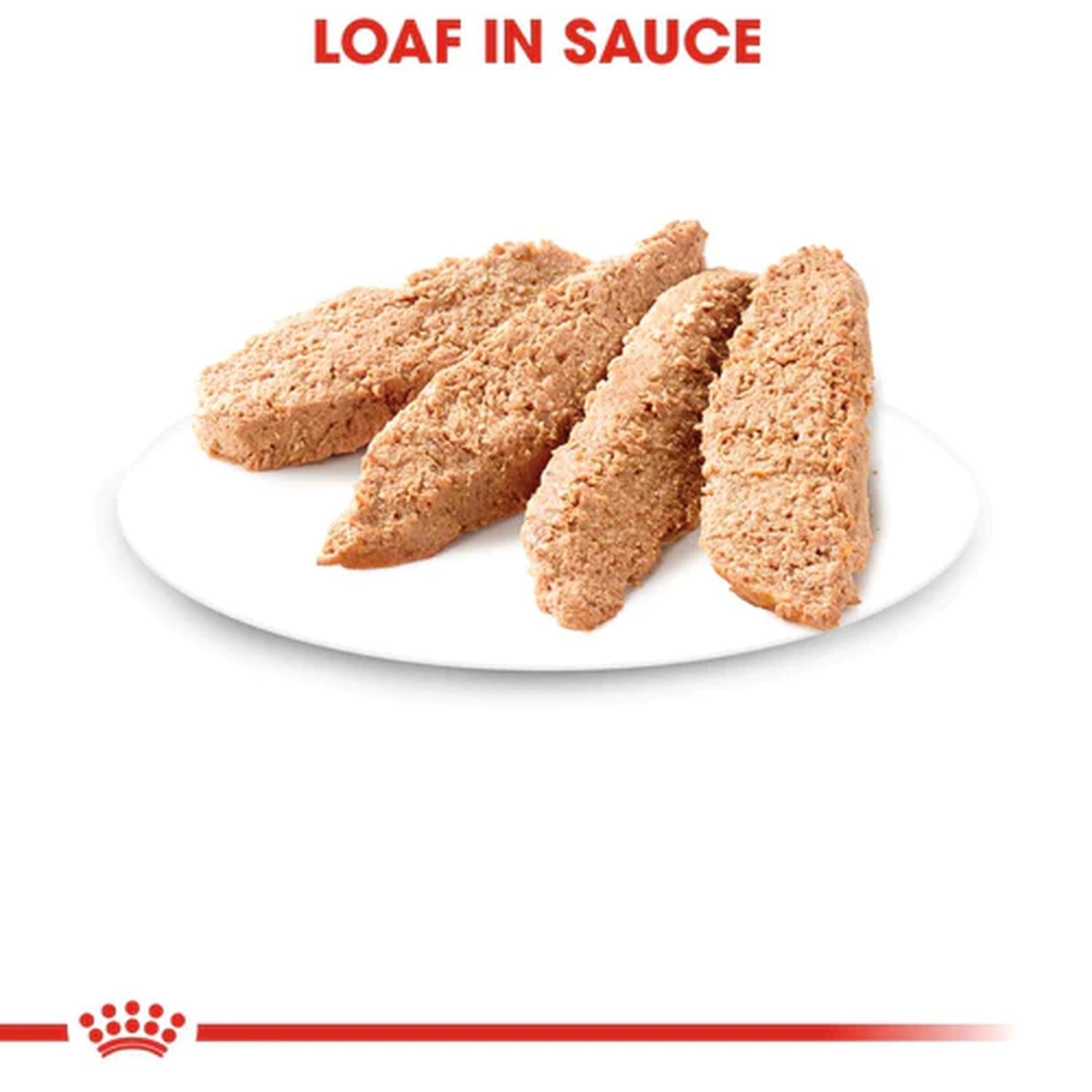 Royal Canin Kitten Loaf in Sauce Gatito 145g 24pz | G.Valkyria - imagen 4