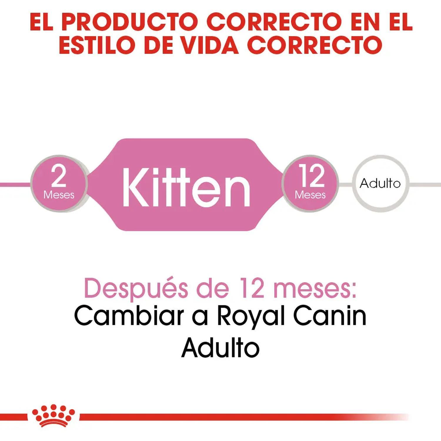 Royal Canin Kitten Thin Slices in Gravy Gato 85g 24pz | G.Valkyria - imagen 3