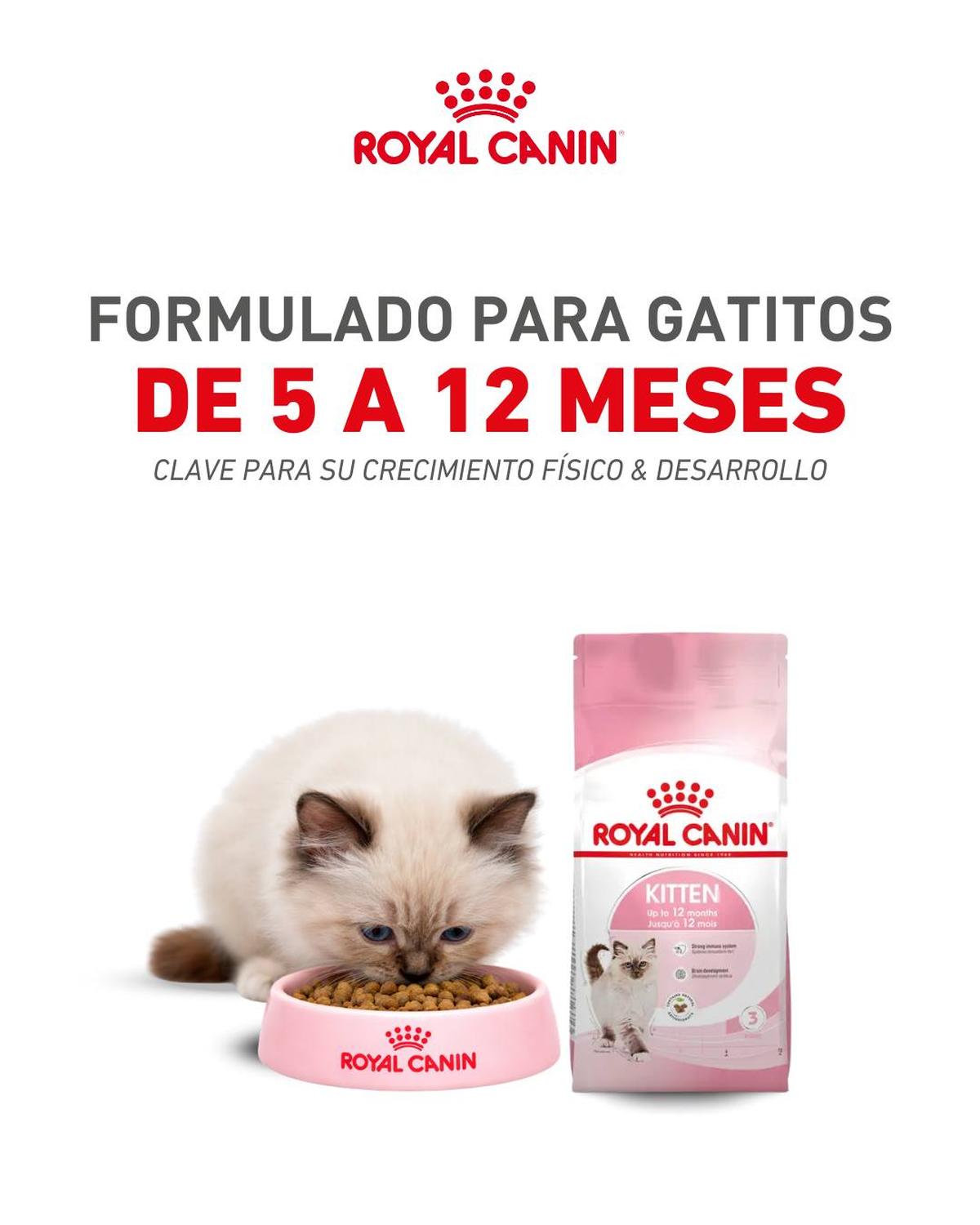 Royal Canin Kitten Thin Slices in Gravy Gato 85g 24pz | G.Valkyria - imagen 8