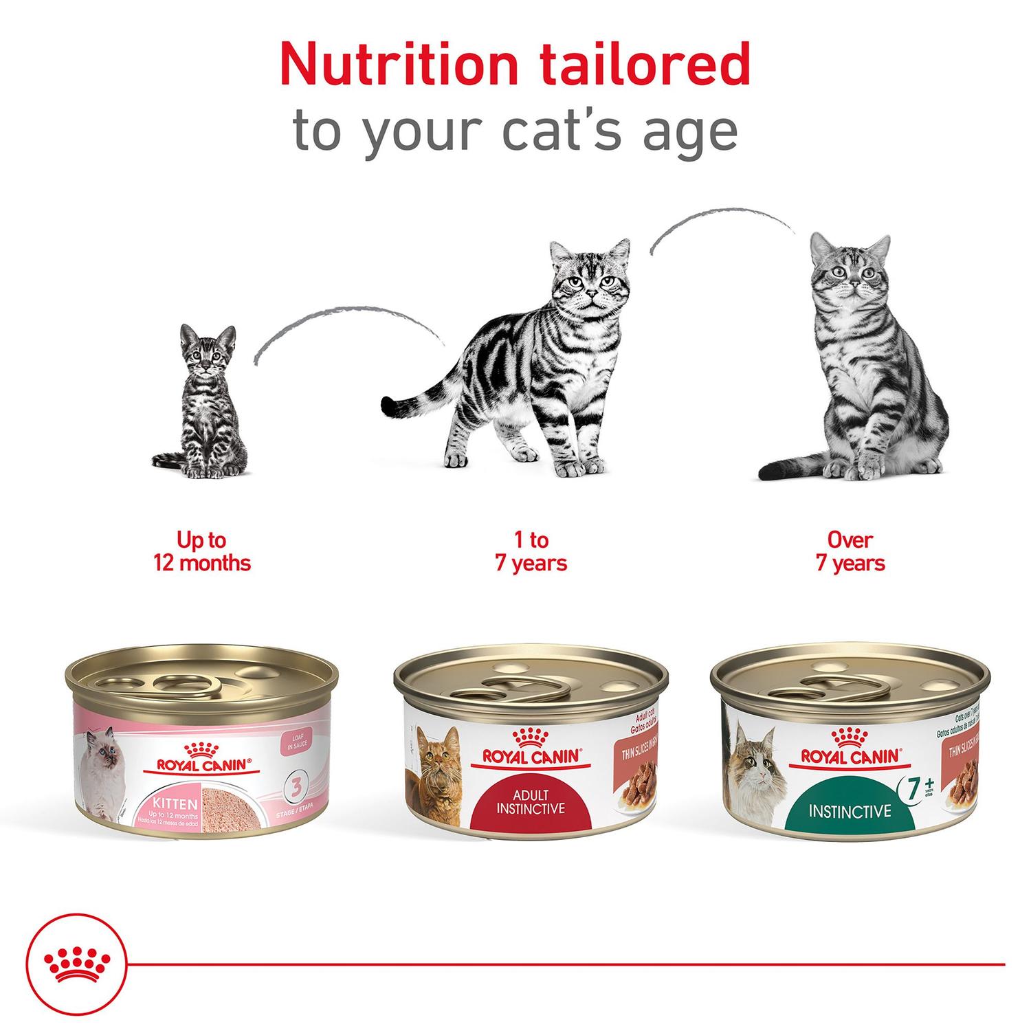 Royal Canin Kitten Thin Slices in Gravy Gato 85g 24pz | G.Valkyria - imagen 9