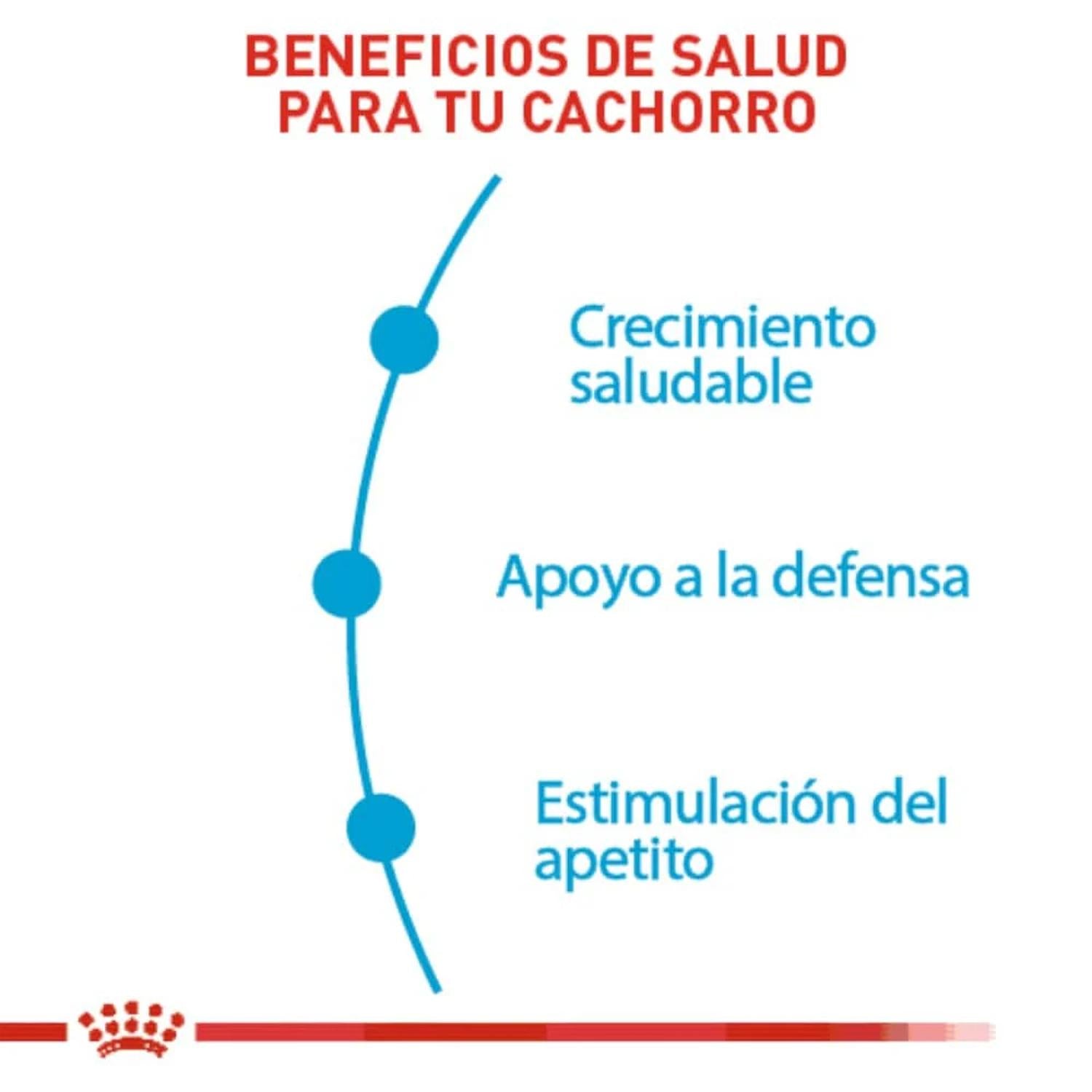 Royal Canin lata Puppy Loaf in Sauce Cachorro 150g 12pz | G.Valkyria - imagen 2