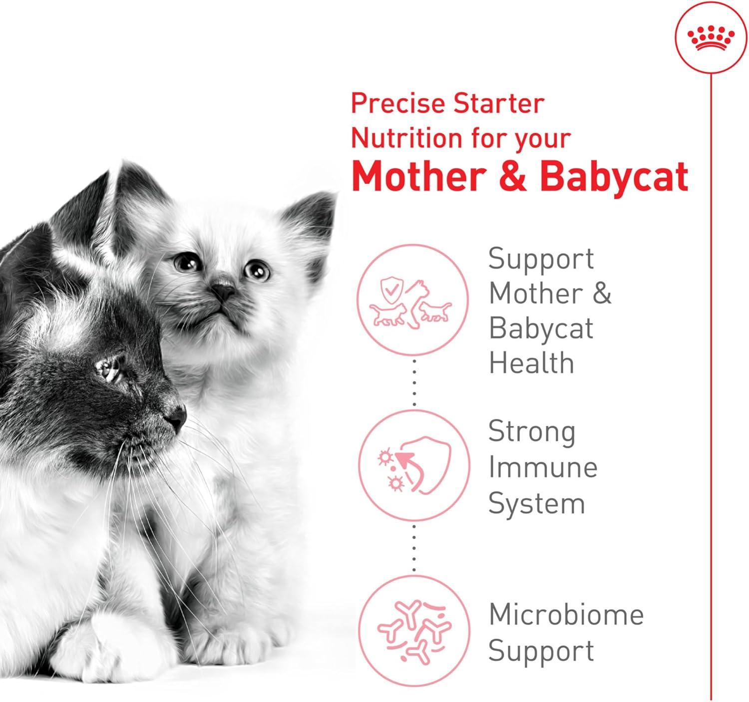 Royal Canin Mother & Babycat Gatito 1.37kg | G.Valkyria - imagen 4