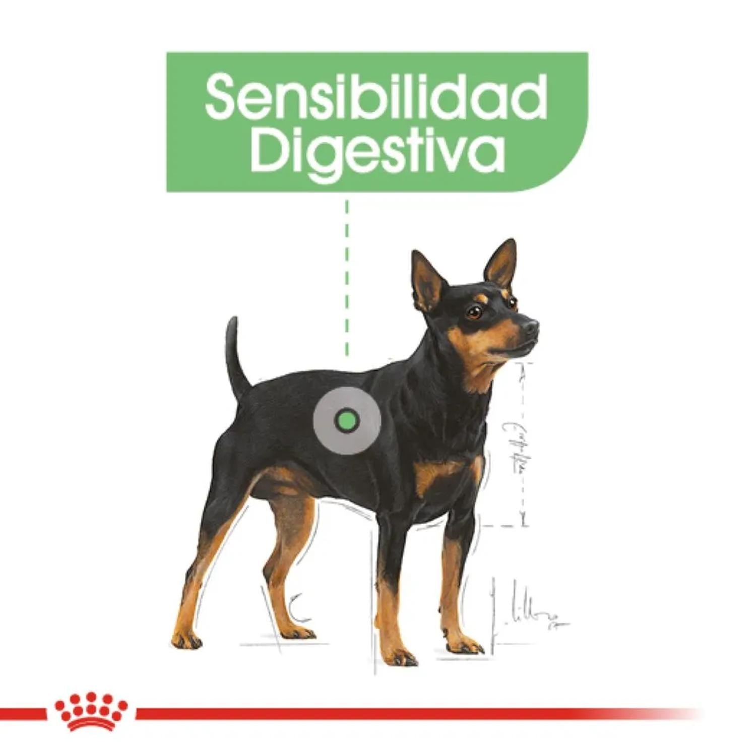 Royal Canin SAlimento Seco mall Digestive Care Perro 1.5kg | G.Valkyria - imagen 2