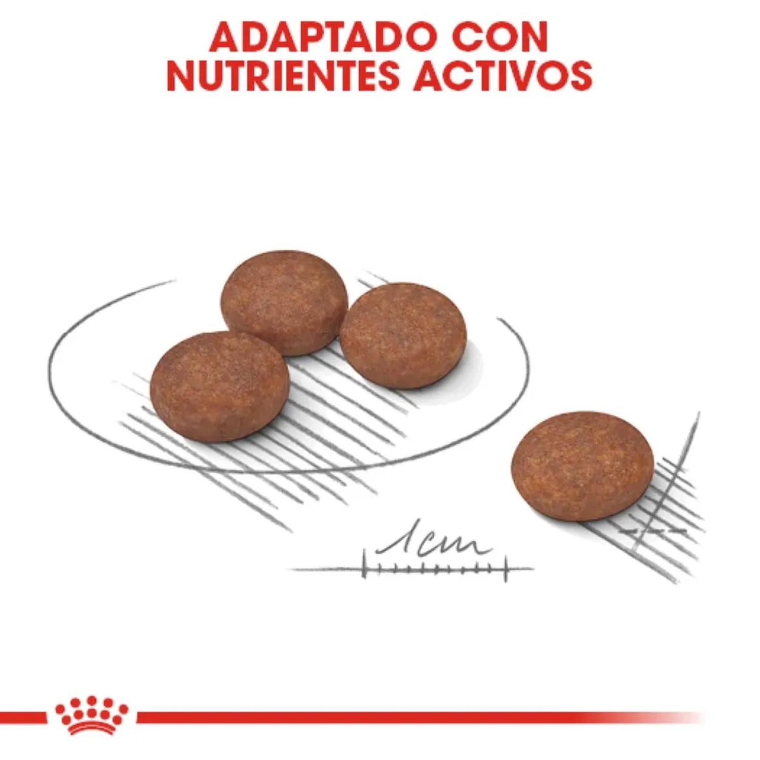Royal Canin SAlimento Seco mall Digestive Care Perro 1.5kg | G.Valkyria - imagen 4