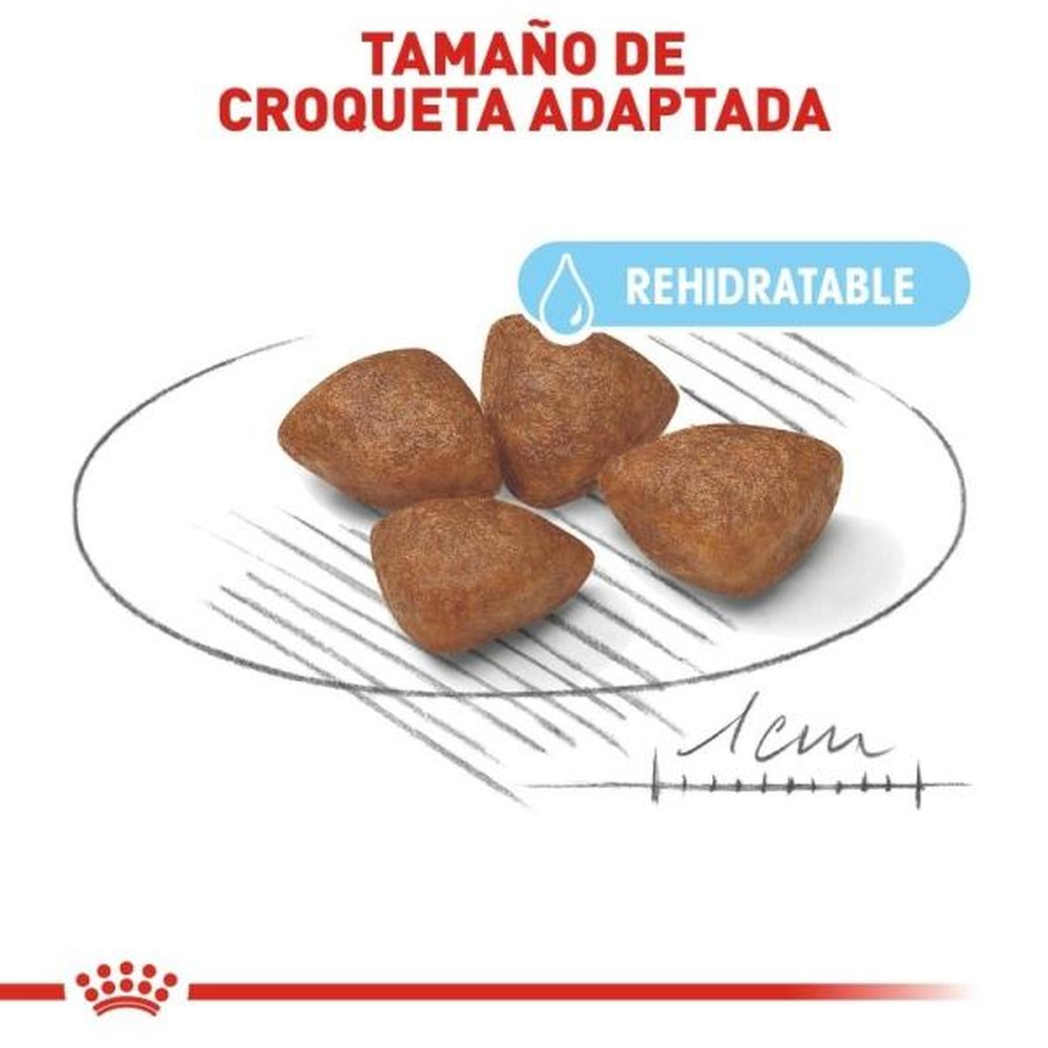 Royal Canin Small Starter Mother & Babydog Cachorro 1.14kg | G.Valkyria - imagen 2