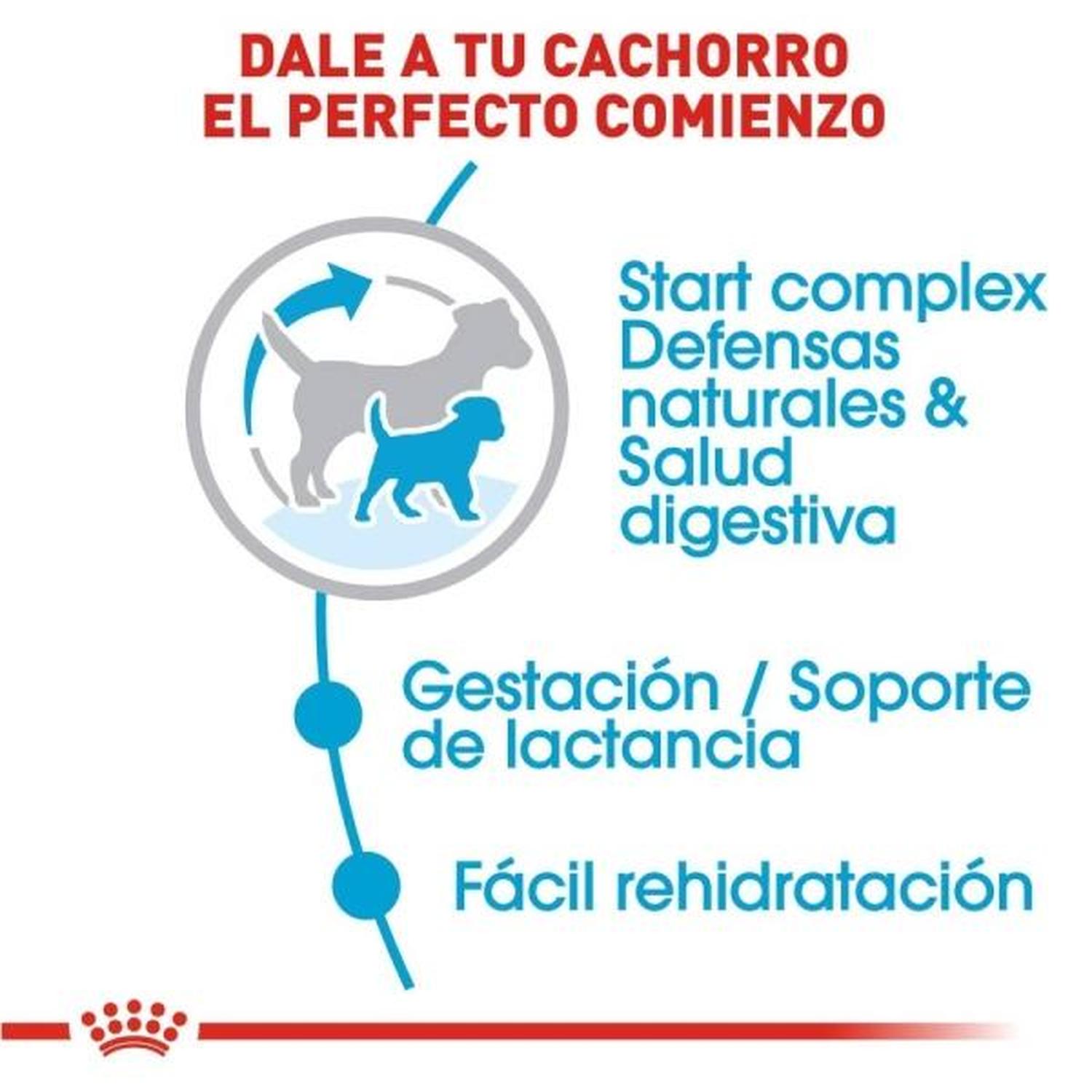 Royal Canin Small Starter Mother & Babydog Cachorro 1.14kg | G.Valkyria - imagen 3