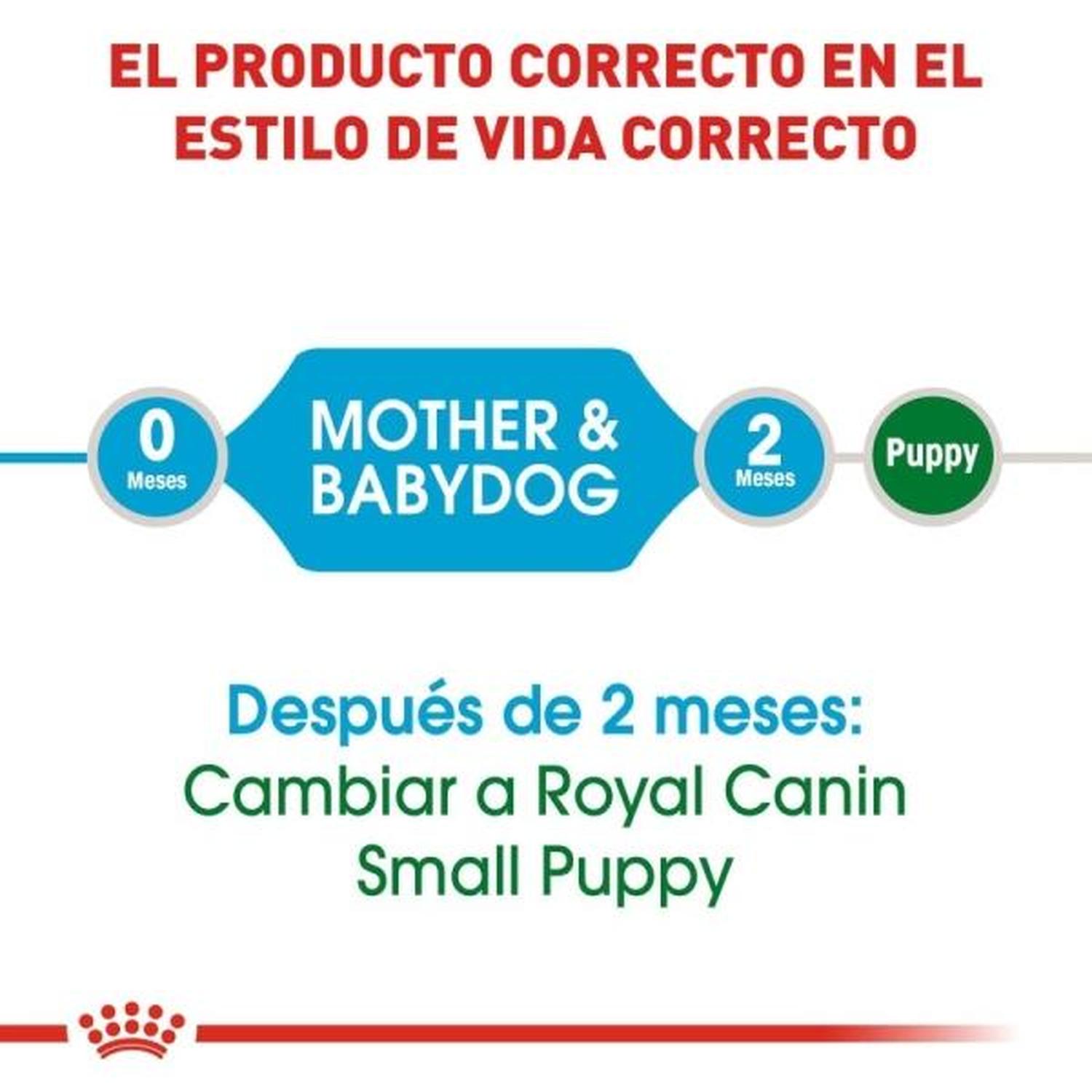 Royal Canin Small Starter Mother & Babydog Cachorro 1.14kg | G.Valkyria - imagen 4