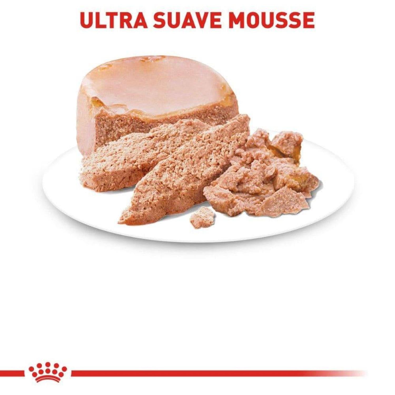 Royal Canin Starter Mother & Babydog Mousse 145g 12pz | G.Valkyria - imagen 4