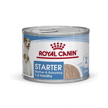 Royal Canin Starter Mother & Babydog Mousse in Sa Cachorro 145g | G.Valkyria - imagen 1