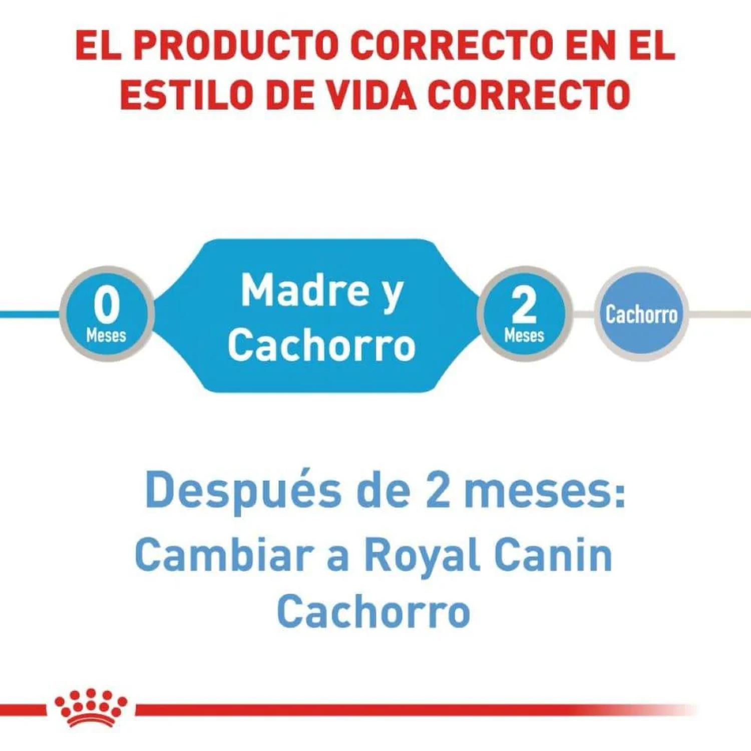 Royal Canin Starter Mother & Babydog Mousse in Sa Cachorro 145g | G.Valkyria - imagen 3