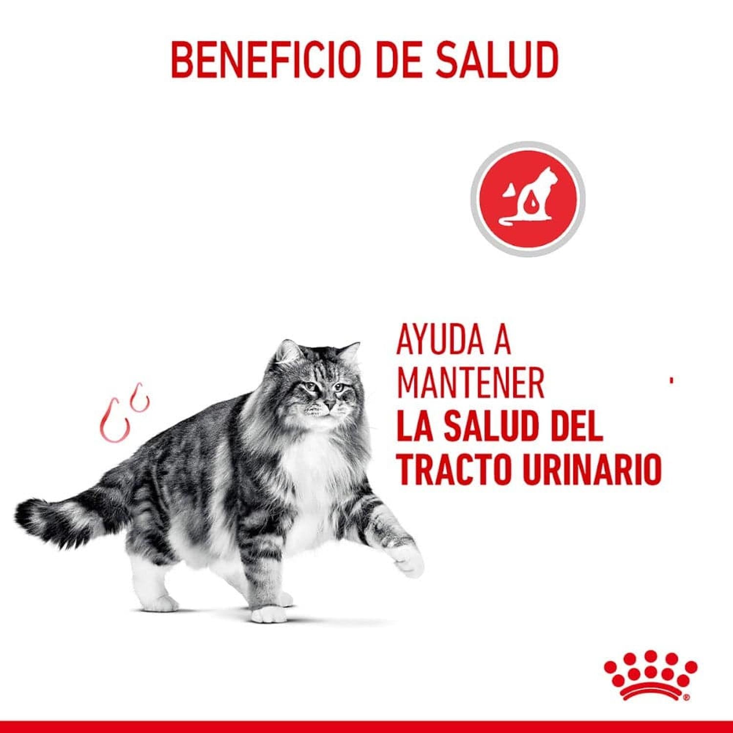 Royal Canin Urinary Care Thin Slices in Gravy Gato 85g | G.Valkyria - imagen 3