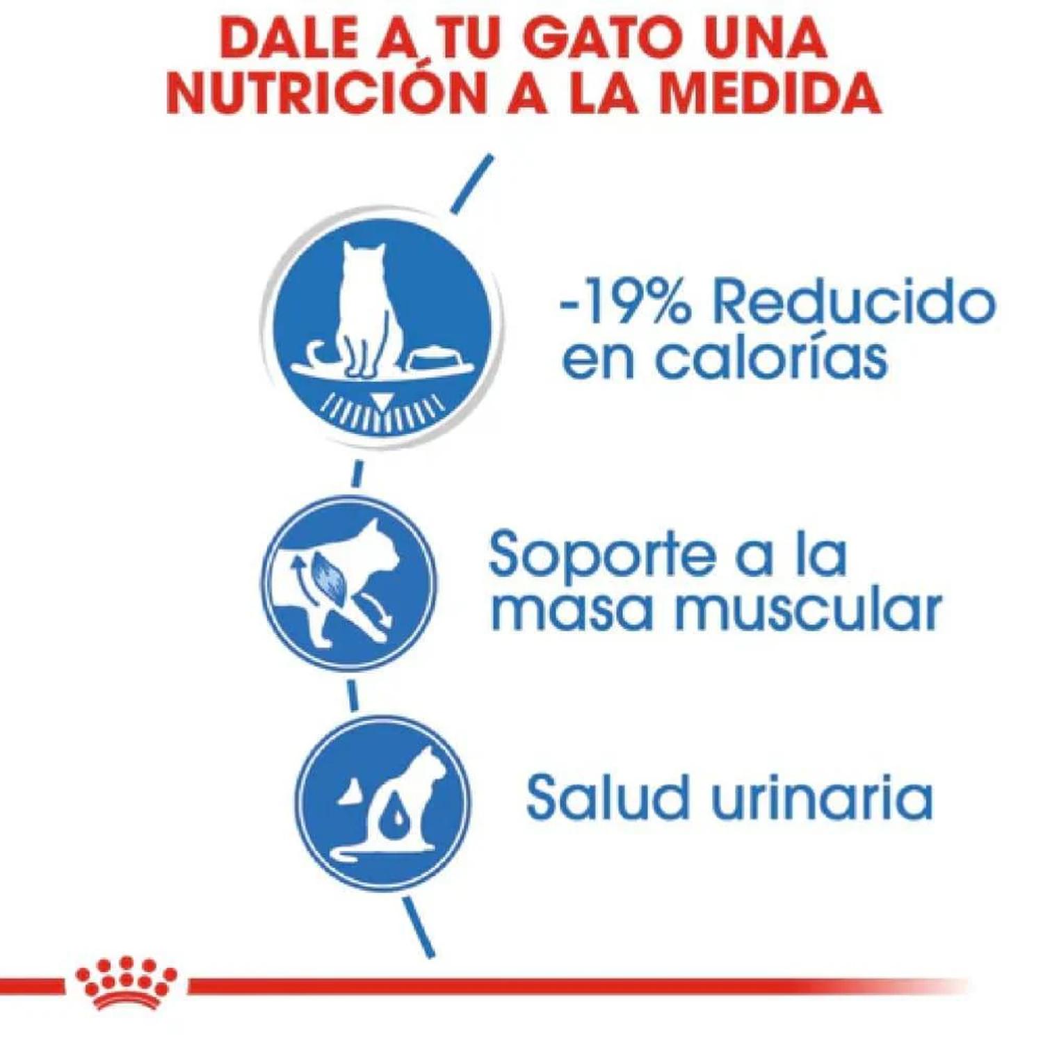 Royal Canin Weight Care Loaf in Sauce Gato 145g | G.Valkyria - imagen 3