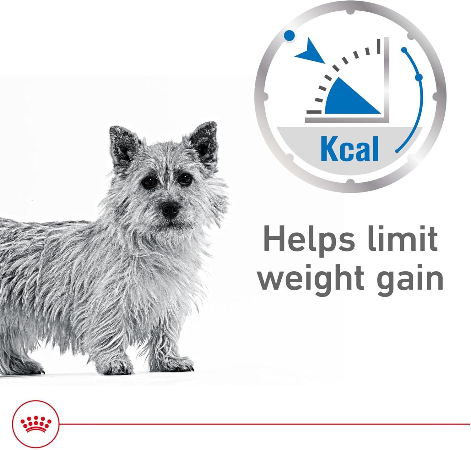 Royal Canin Weight Care Loaf in Sauce Perro 150g | G.Valkyria - imagen 3