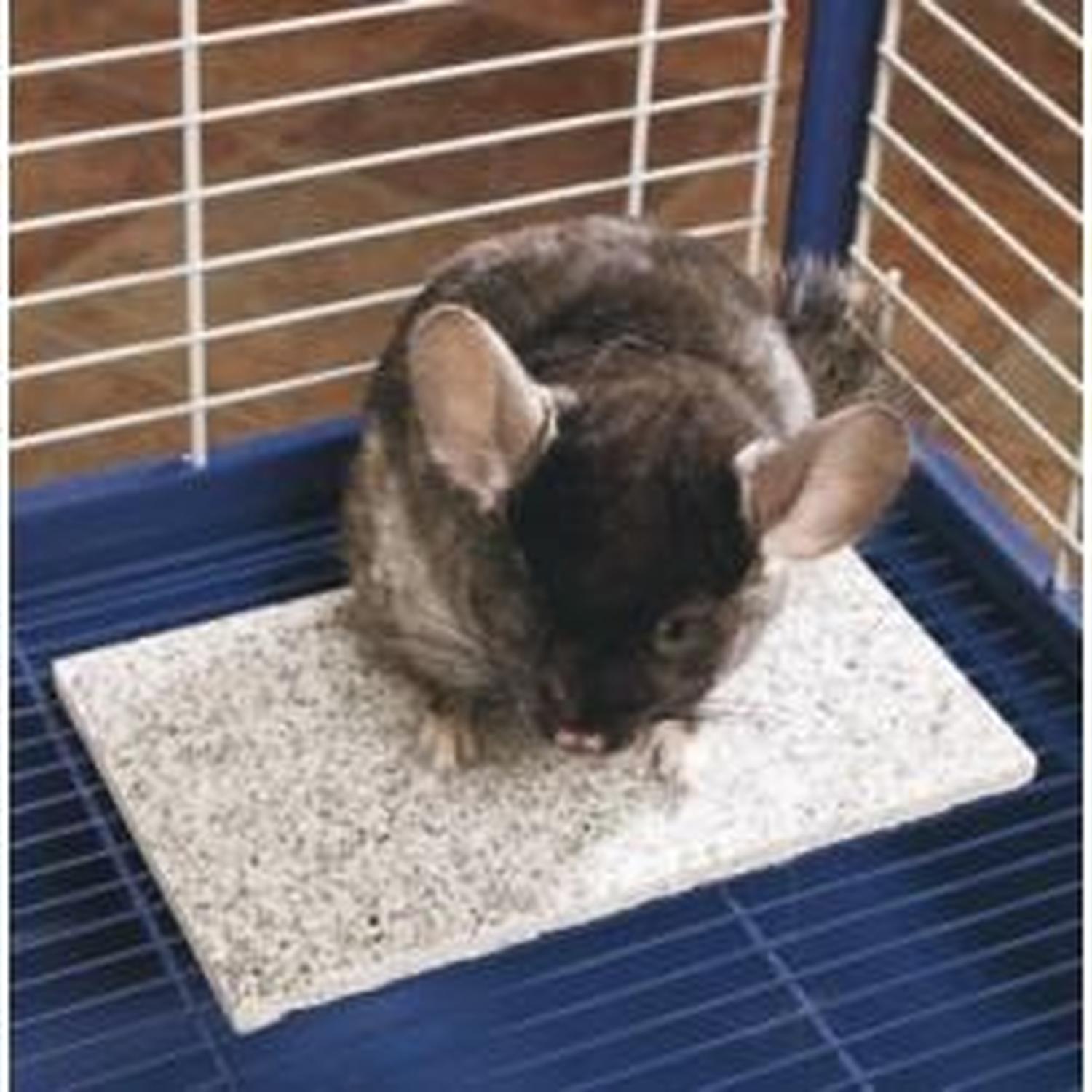 Piedra Para Refrescar Chinchillas de Super Pet | G.Valkyria - imagen 5