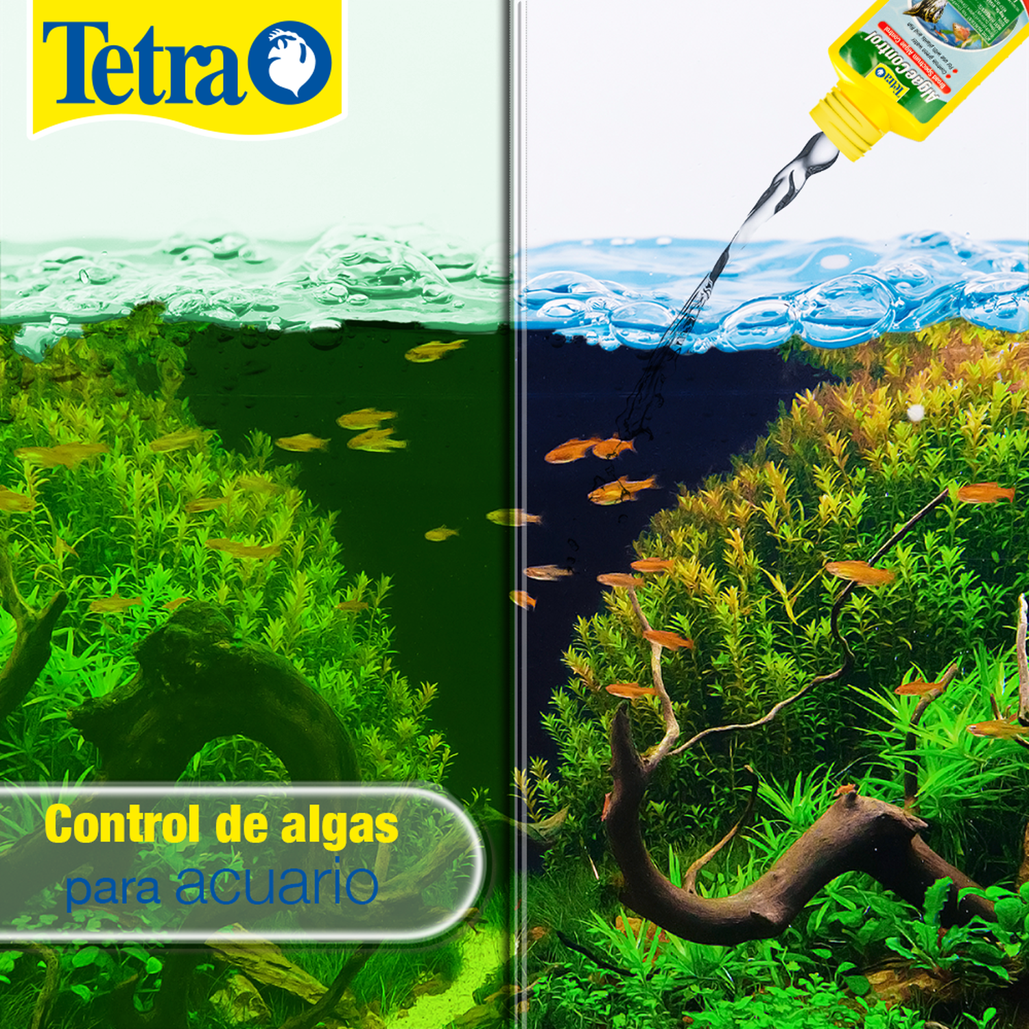 Acondicionador pecera Tetra control alga 100ml agua verde | G.Valkyria - imagen 2