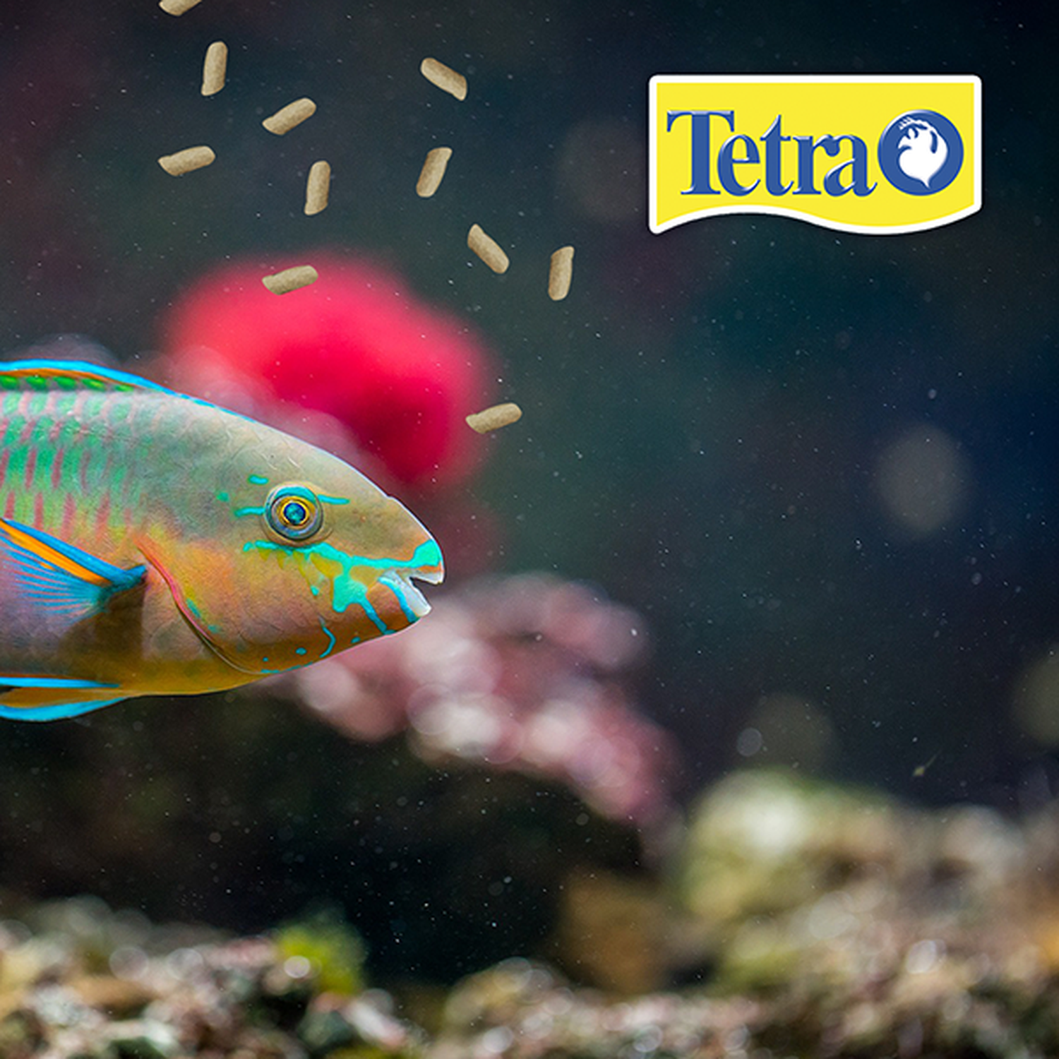 Tetra alimento para carpas estanque Tetra Pond Sticks 1.68 kg | G.Valkyria - imagen 3