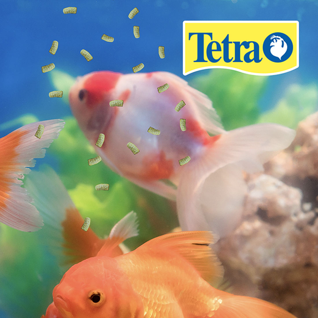 Tetra alimento para carpas estanque Tetra Pond Sticks 5 kg | G.Valkyria - imagen 1