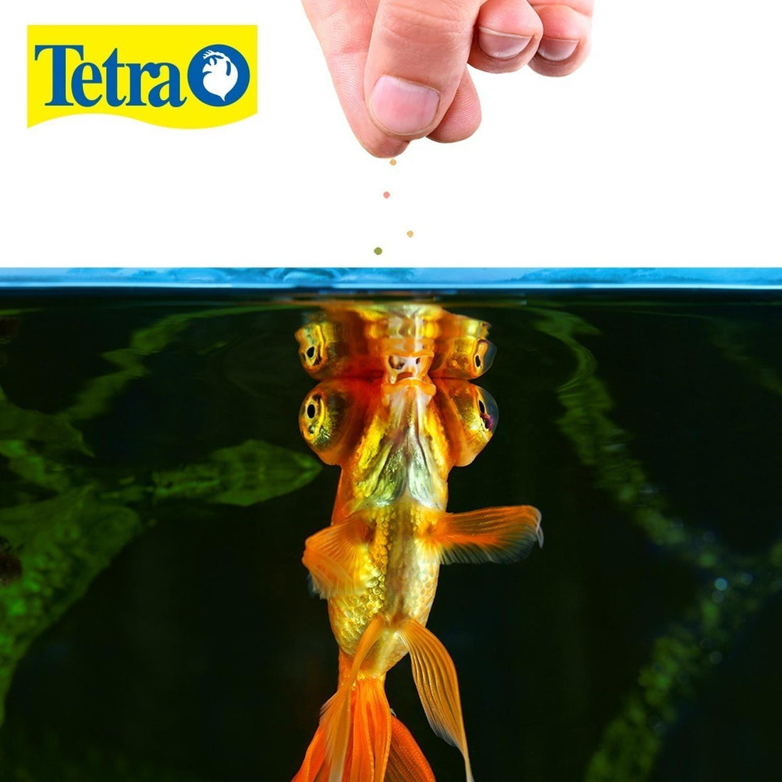 Alimento para peces Tetrafin Goldfish japoneses Pellets 53 Gr | G.Valkyria - imagen 1
