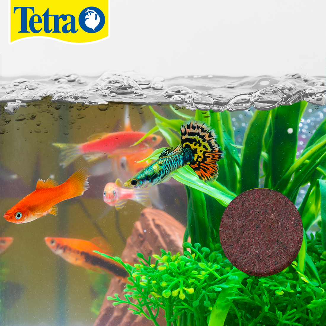 Alimento para peces Tetravacation de 30 grs vacaciones | G.Valkyria - imagen 1