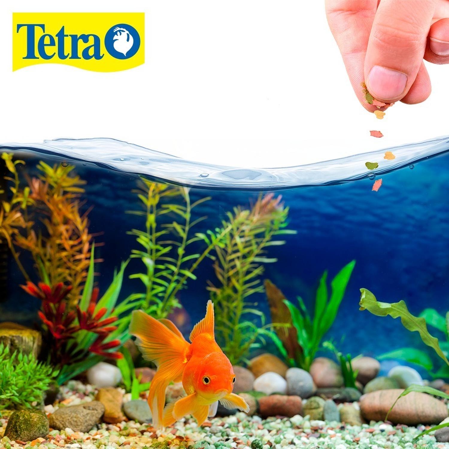 Tetra Alimento Peces Tetrafin Goldfish japones Flakes 62G | G.Valkyria - imagen 4