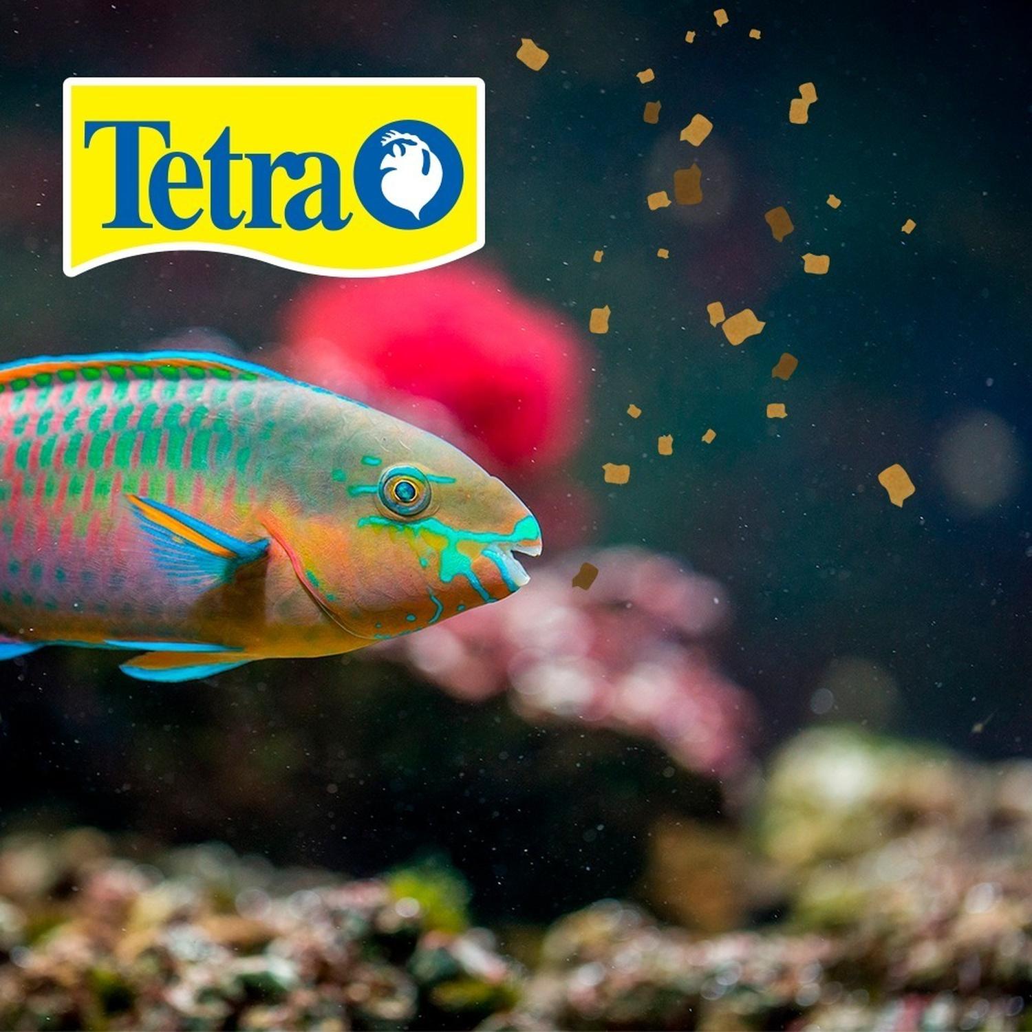Alimento Tetra Tetramin Tropical Flakes 200g angel neon guppy | G.Valkyria - imagen 2