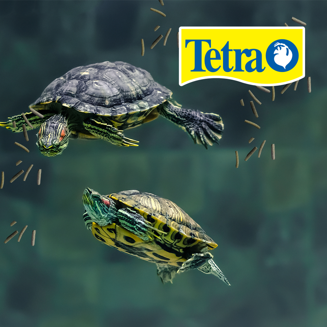 Alimento Tetra tortuga ReptoMin palitos 1.2 kg vitaminado | G.Valkyria - imagen 1