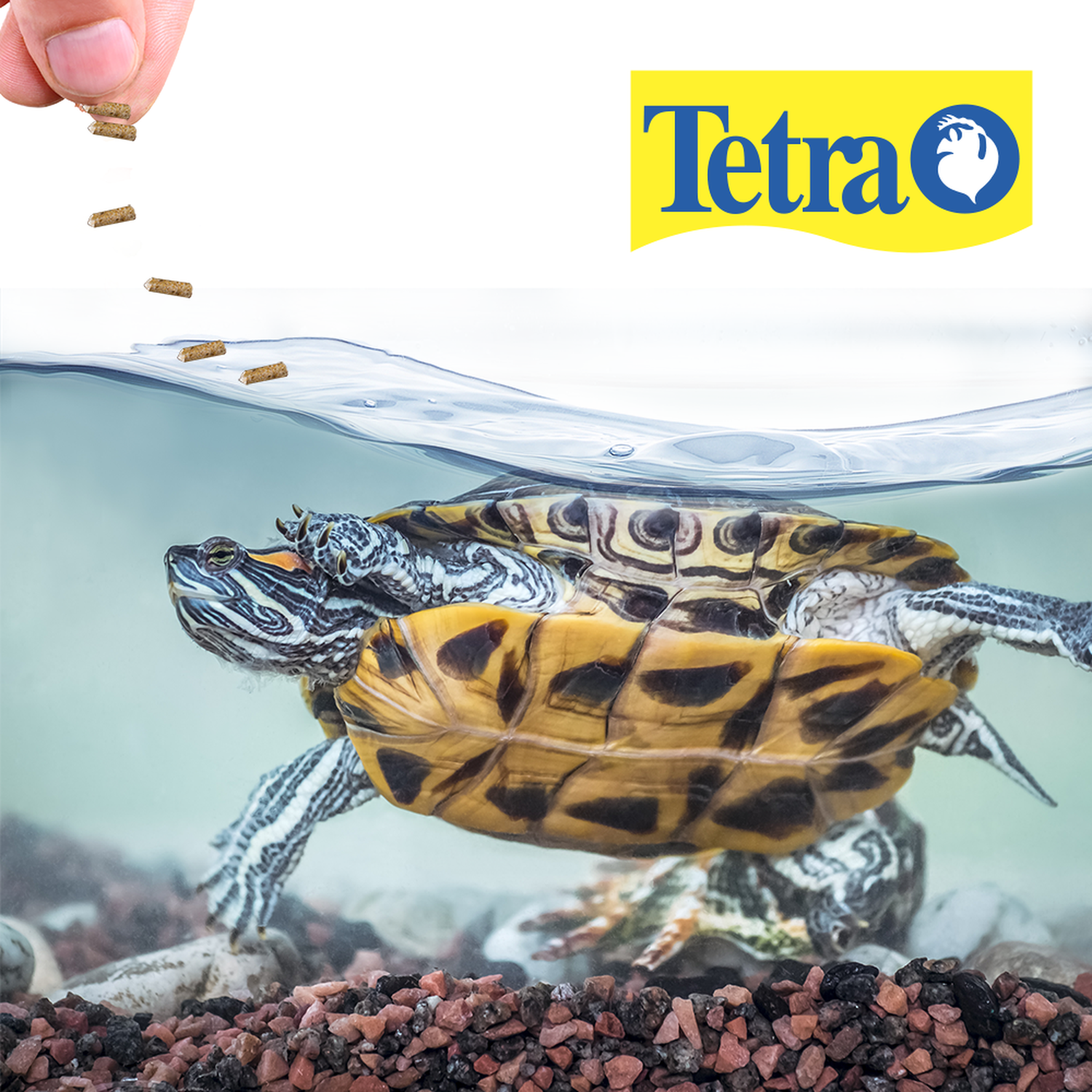 Alimento Tetra tortuga ReptoMin palitos 105 g calcio vitamina | G.Valkyria - imagen 2
