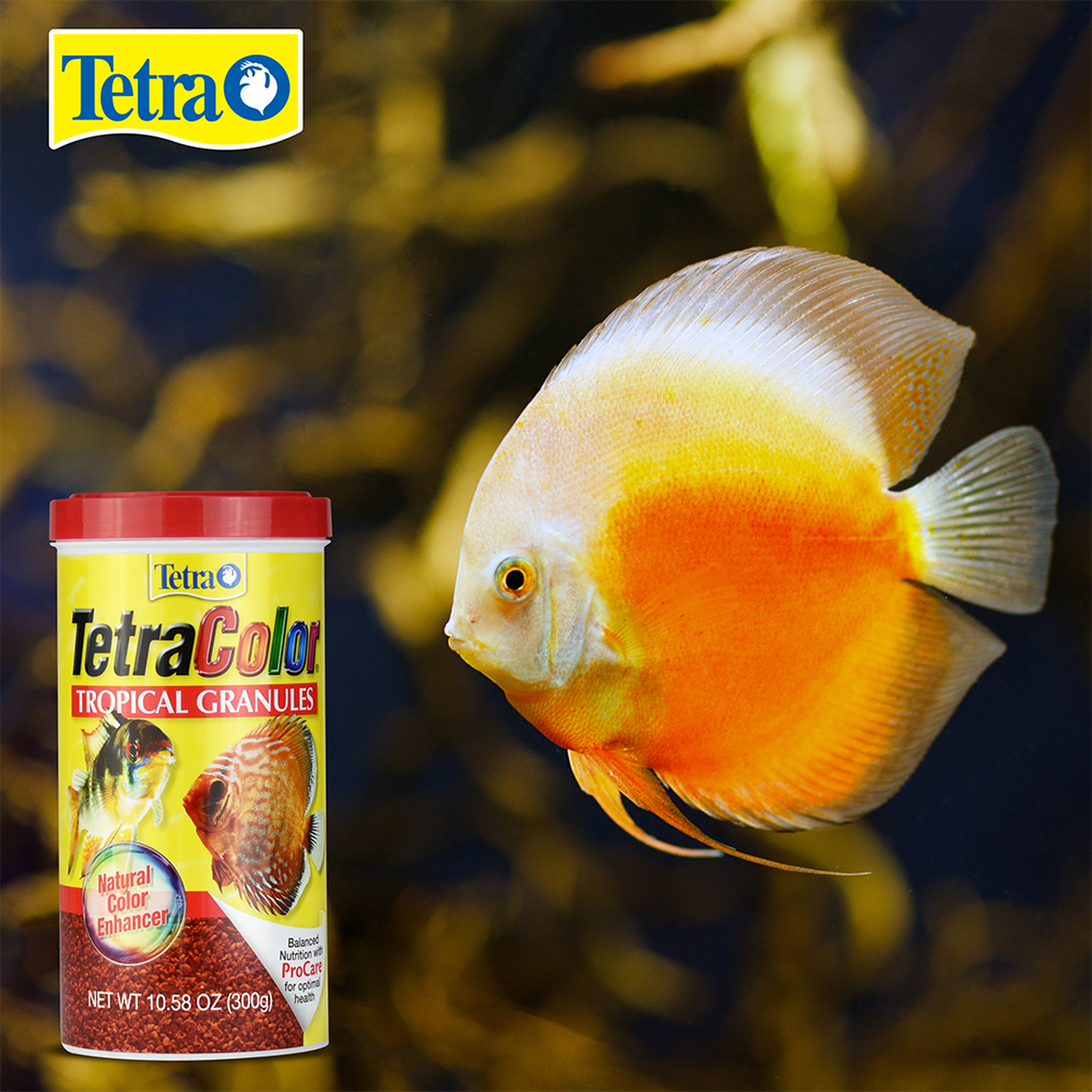 Alimento Tetracolor Tropical granules 300g Discos ramirezzi | G.Valkyria - imagen 4