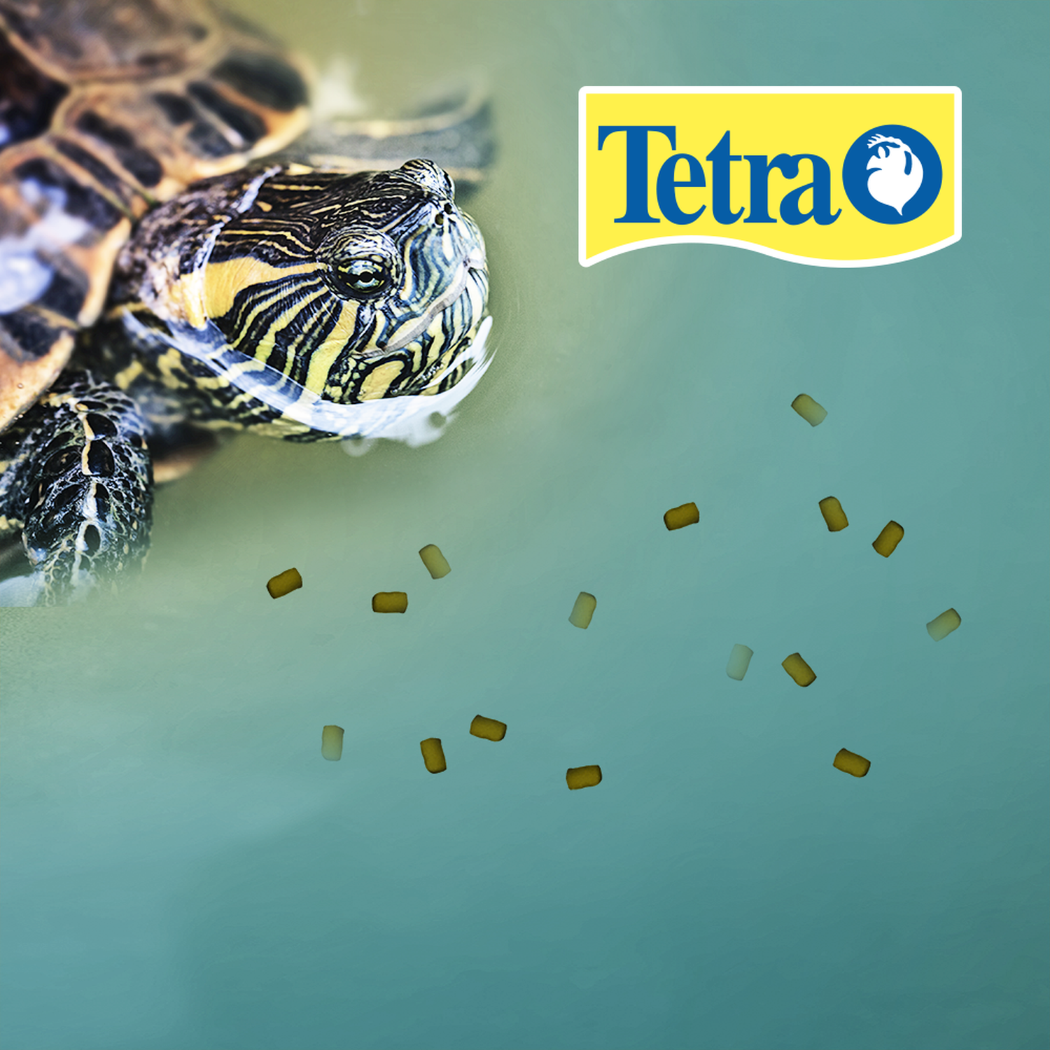 Alimento tortuga bebé Reptomin Pro Baby Formula 32G sin olor de Tetra | G.Valkyria - imagen 2