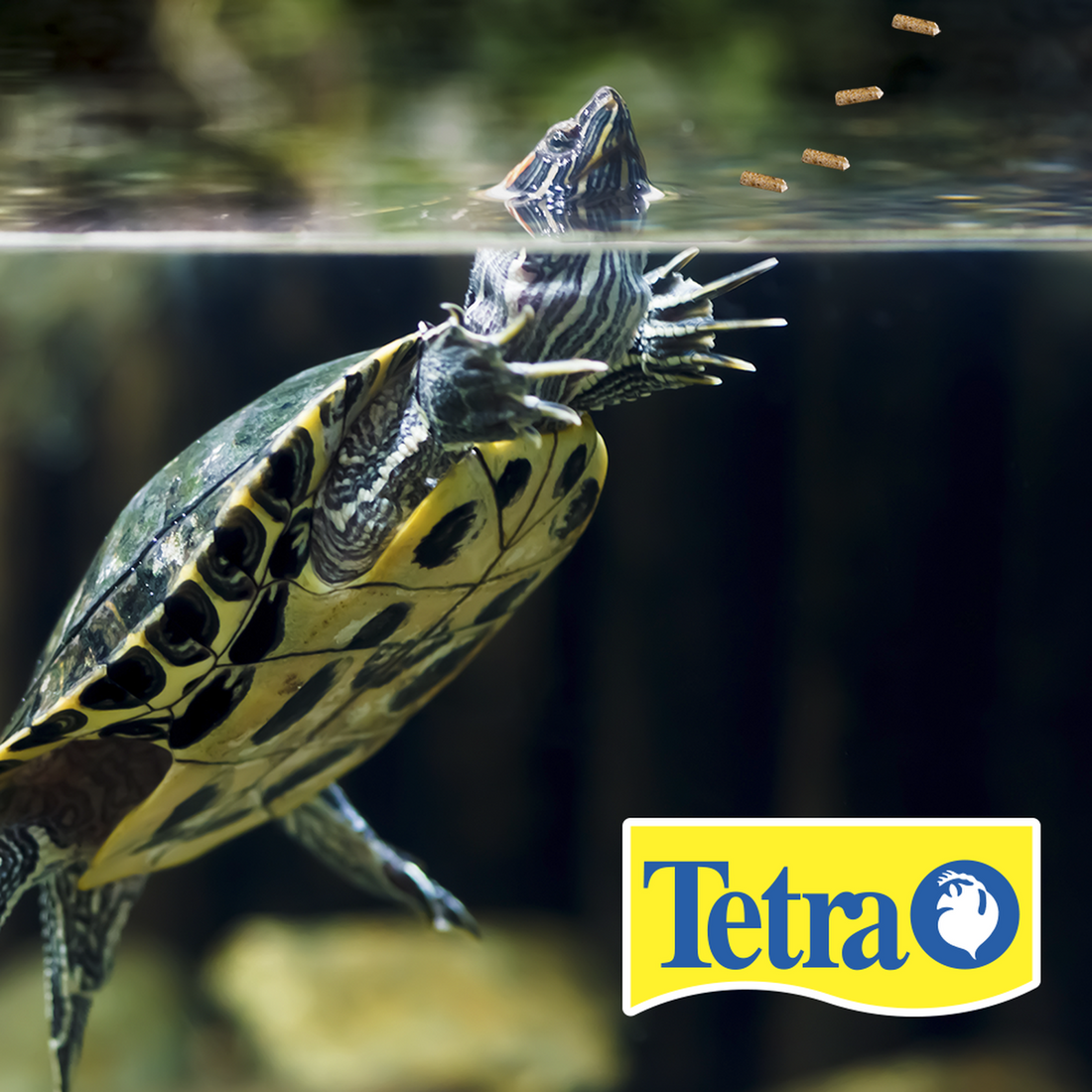 Alimento tortuga Reptomin Floating Food Sticks 55G calcio de Tetra | G.Valkyria - imagen 1