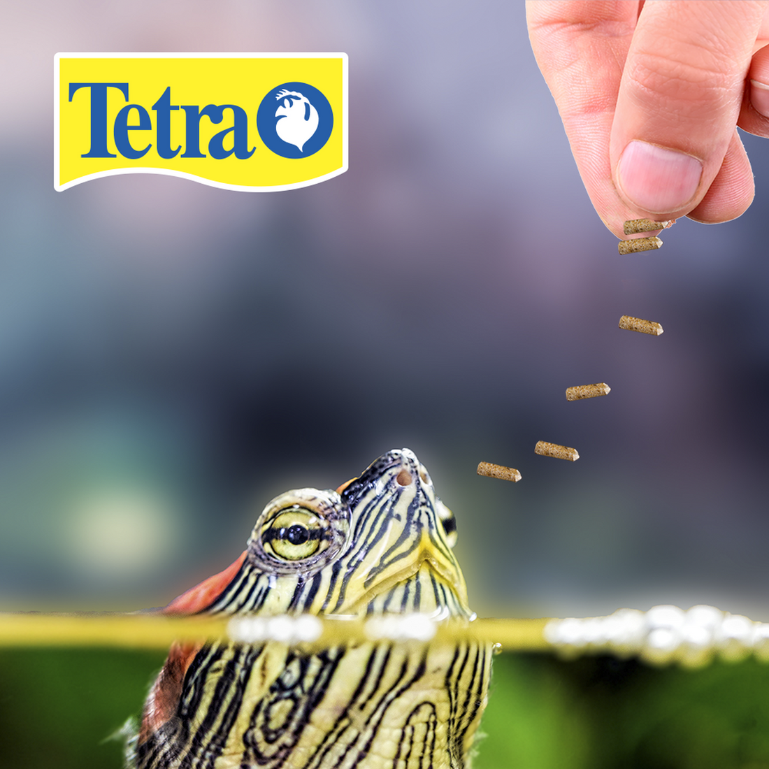 Alimento tortuga Reptomin Floating Sticks Baby 26G calcio de Tetra | G.Valkyria - imagen 1