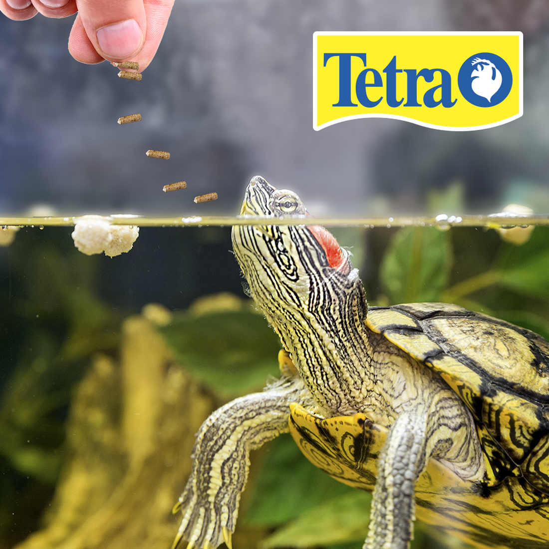 Alimento tortuga Reptomin SelectAFood 44G camaron krill stick de Tetra | G.Valkyria - imagen 1