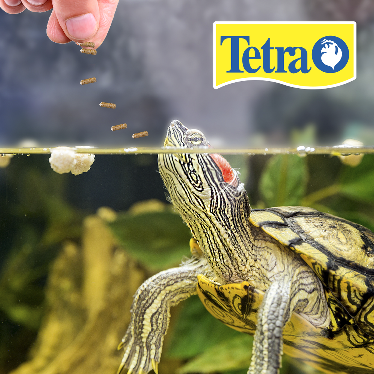 Alimento tortuga Reptomin SelectAFood 44G camaron krill stick de Tetra | G.Valkyria - imagen 2