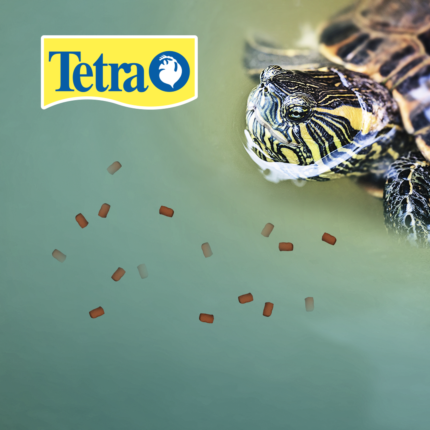 Alimento tortuga Tetra Reptotreat Suprema 62G camarón y krill | G.Valkyria - imagen 2