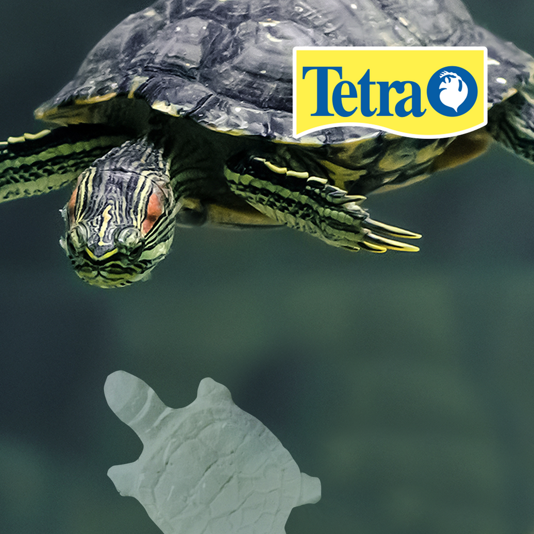Bloque sulfa tratamiento agua Reptoguard reptiles y anfibios de Tetra | G.Valkyria - imagen 1