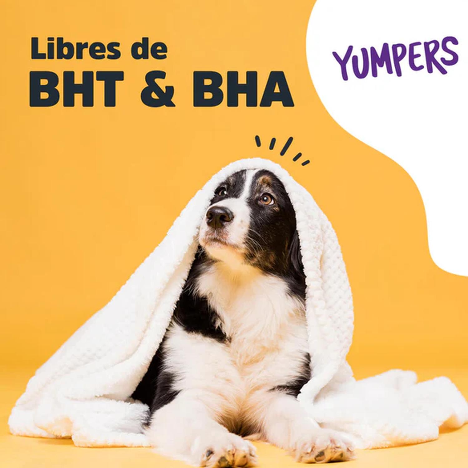 Trick & Treats Yumpers premio para perro sabor pollo 100 grs | G.Valkyria - imagen 5