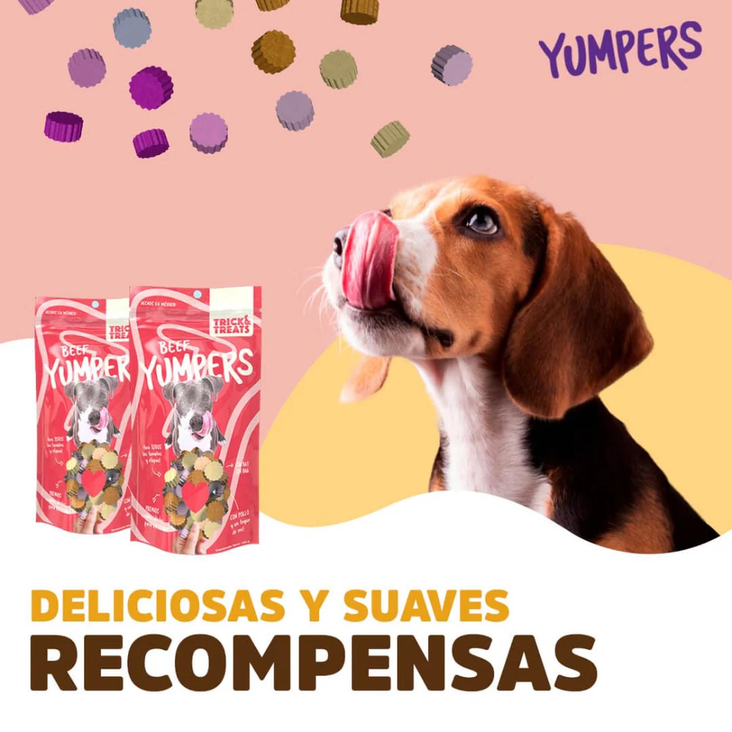 Trick & Treats Yumpers premio para perro sabor res 100 grs | G.Valkyria - imagen 3