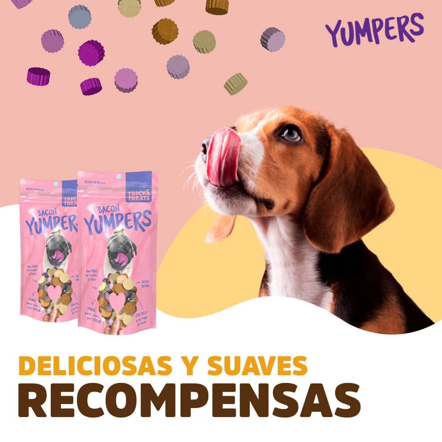 Trick & Treats Yumpers premio para perro sabor tocino 100 grs | G.Valkyria - imagen 3