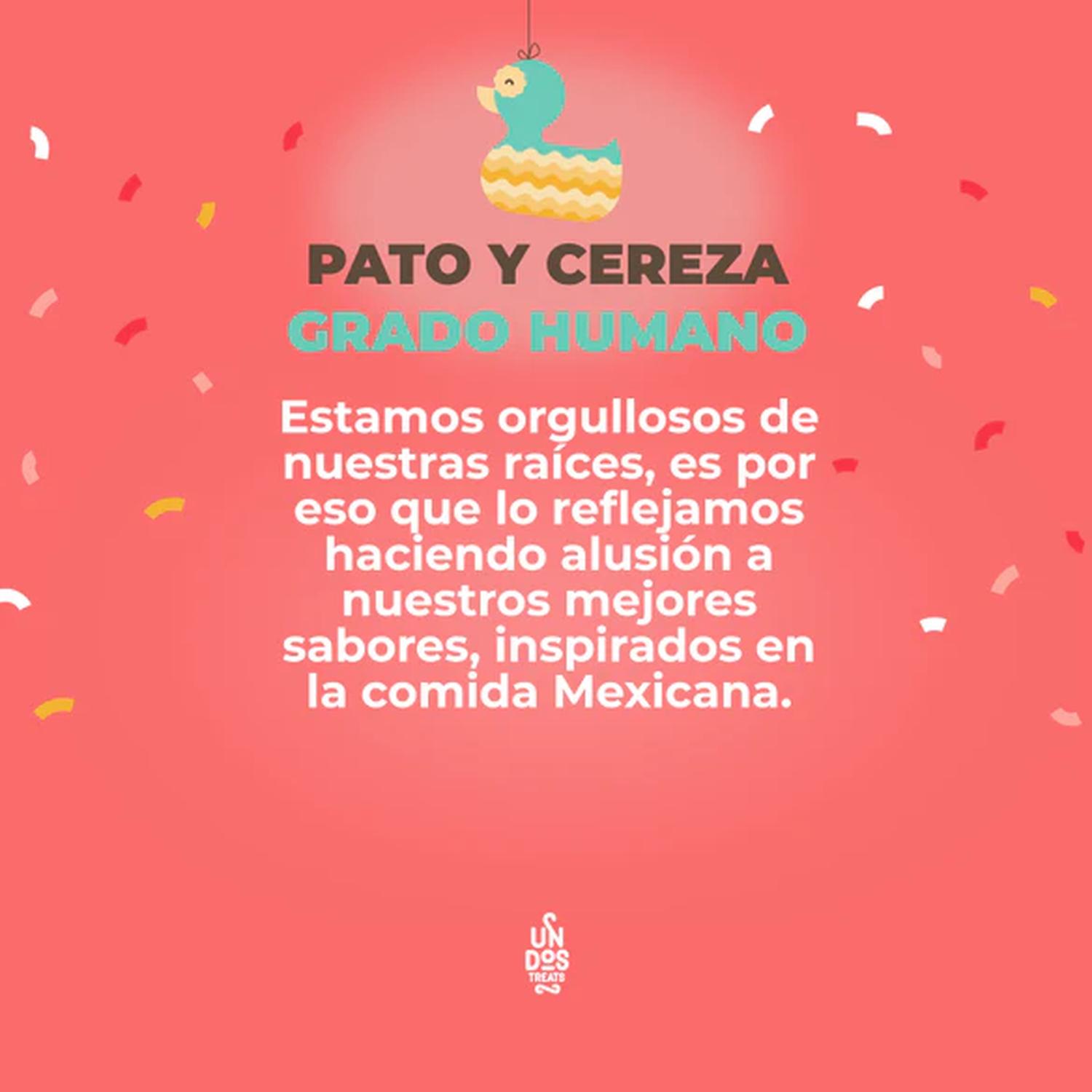 Un dos Treats Biscuits Galleta para perro pato-cereza 156gr | G.Valkyria - imagen 6